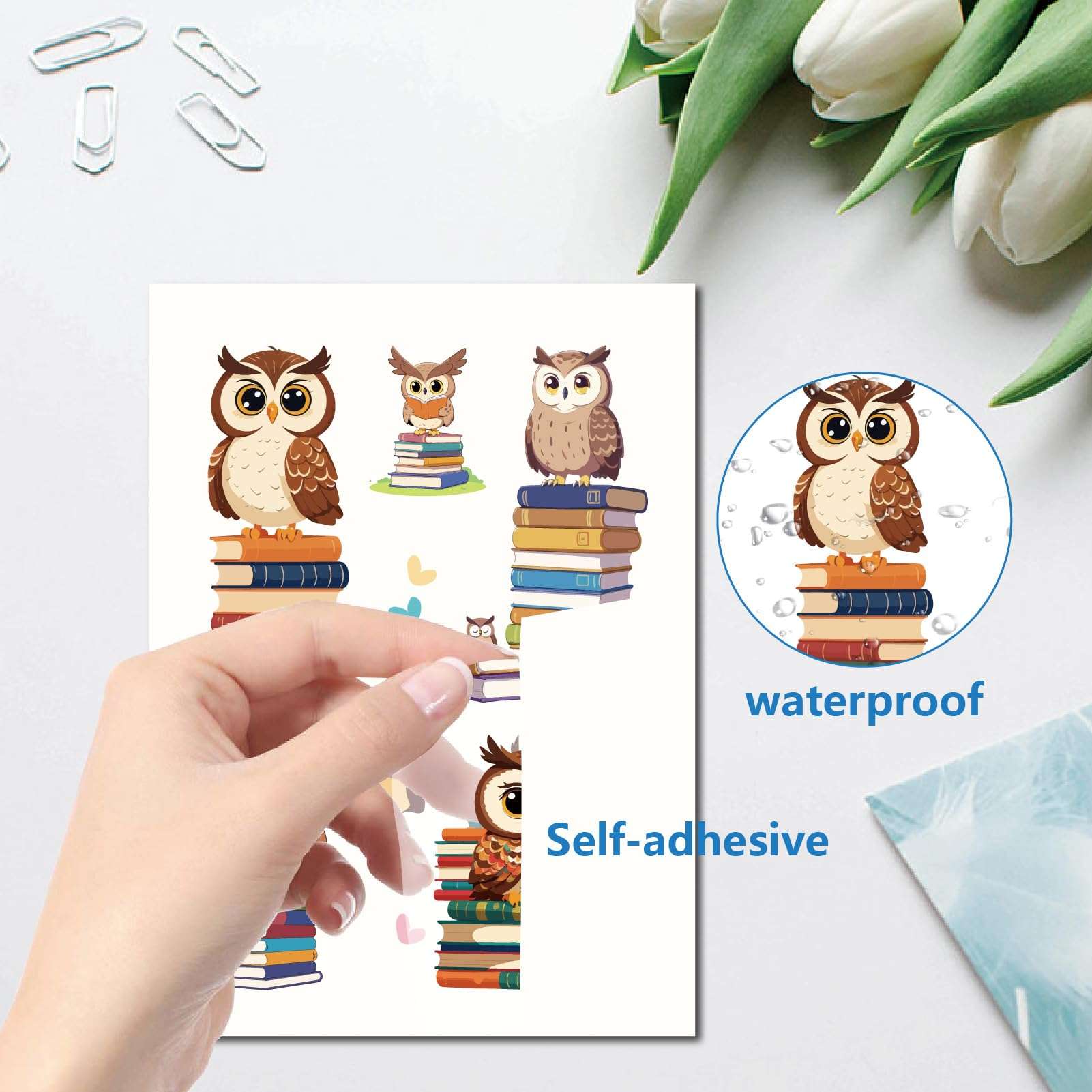 CRASPIRE 8 Sheets Owl Window Sticker Book Heart Wall Clings Birds Peel and Stick Paster Waterproof Large Decals for Home Stairway Restaurant Kitchen Bathroom Showcase Glass Mirror Doors PVC Decor 4