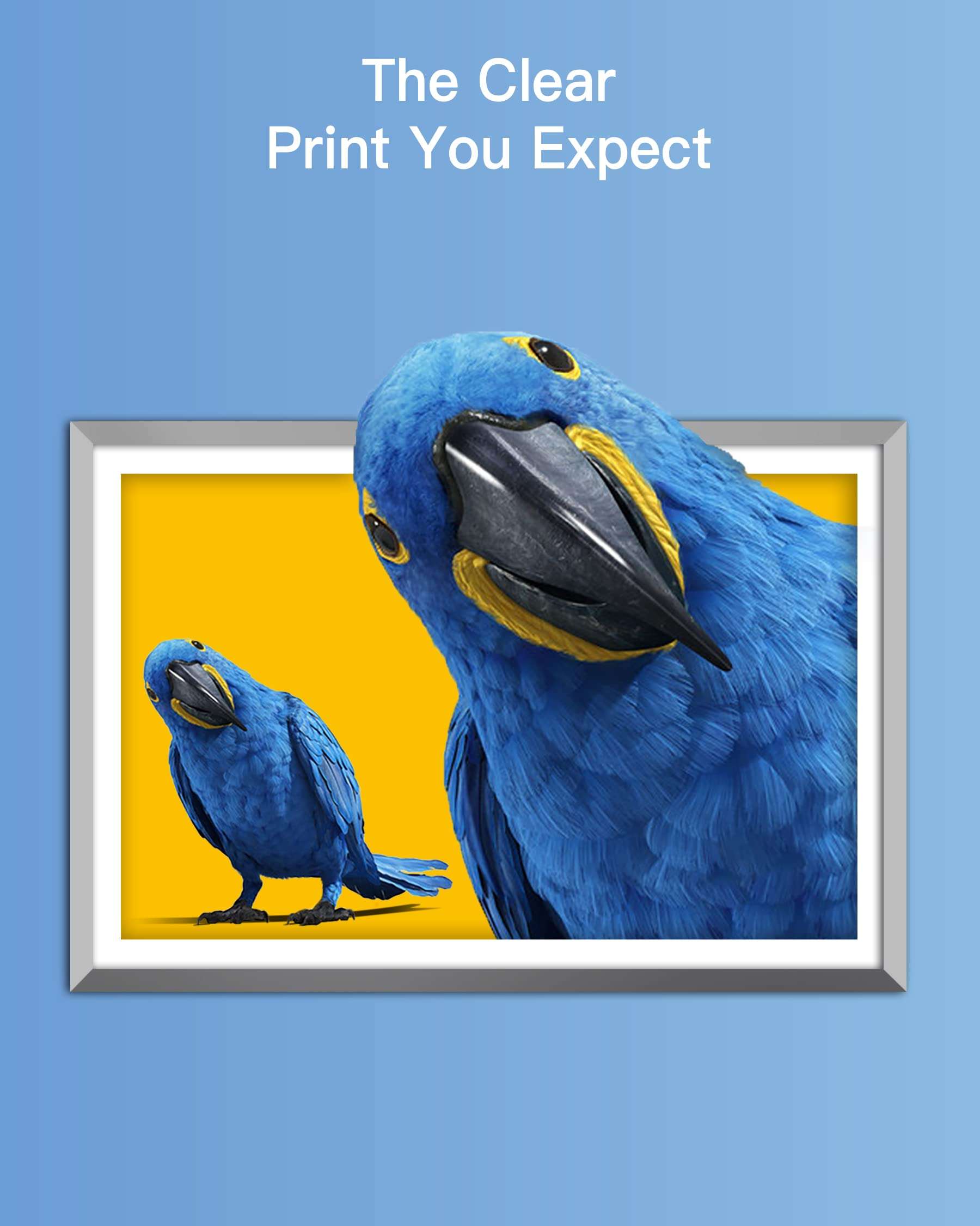 GPC Image Compatible Ink Cartridge Replacement for HP 564XL 564 XL Ink Cartridge Compatible with DeskJet 3520 3522 Officejet 4620 Photosmart 5520 6510 7520 7525 Printer (4 Pack, Black) 5