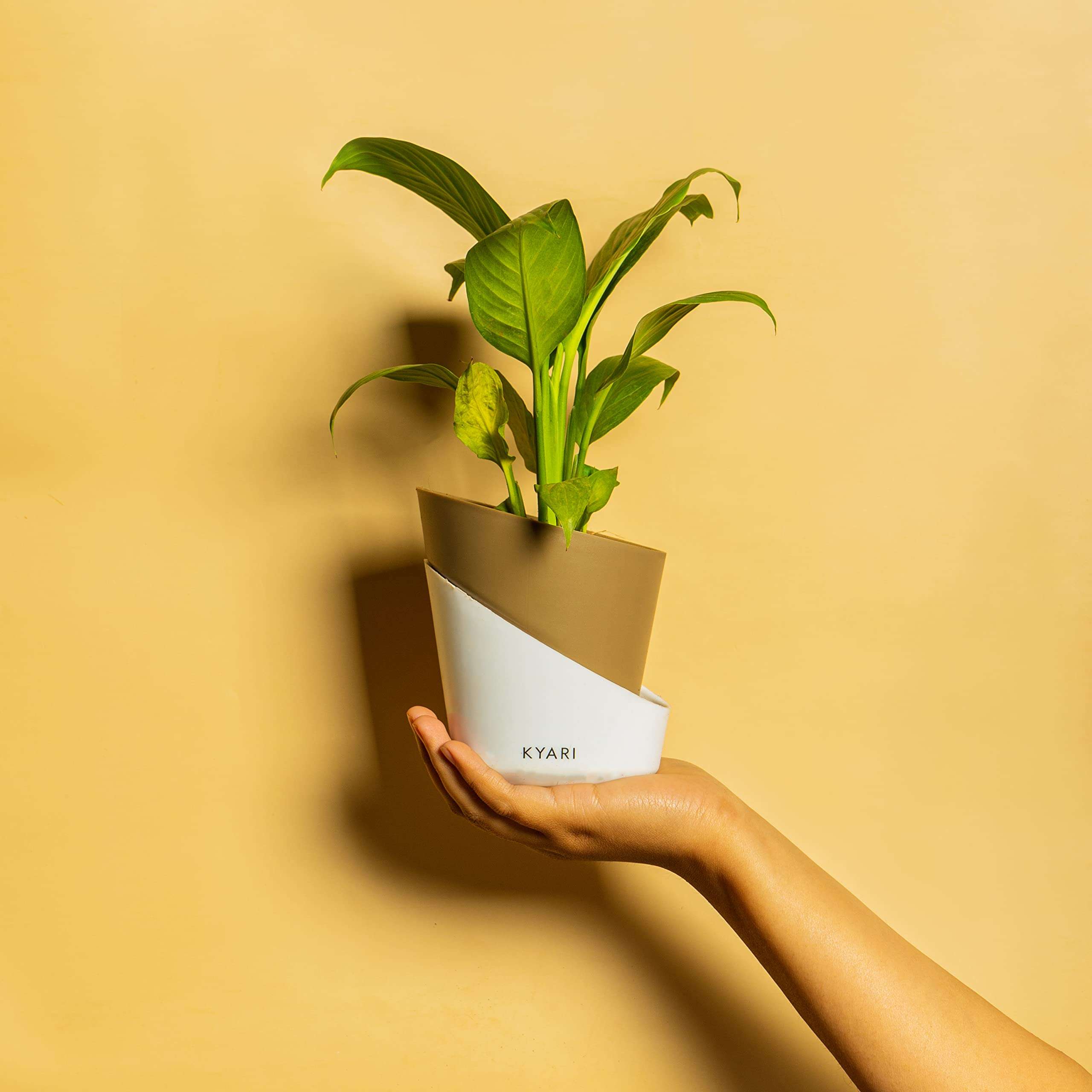 KYARI Peace Lily Indoor Plants for Living Room | Live Plants | Plants with Dusky Brown Pot for Home | Air purifier plants | Plants for Home Decor | Plants for garden | Indoor Plants for bedroom 1