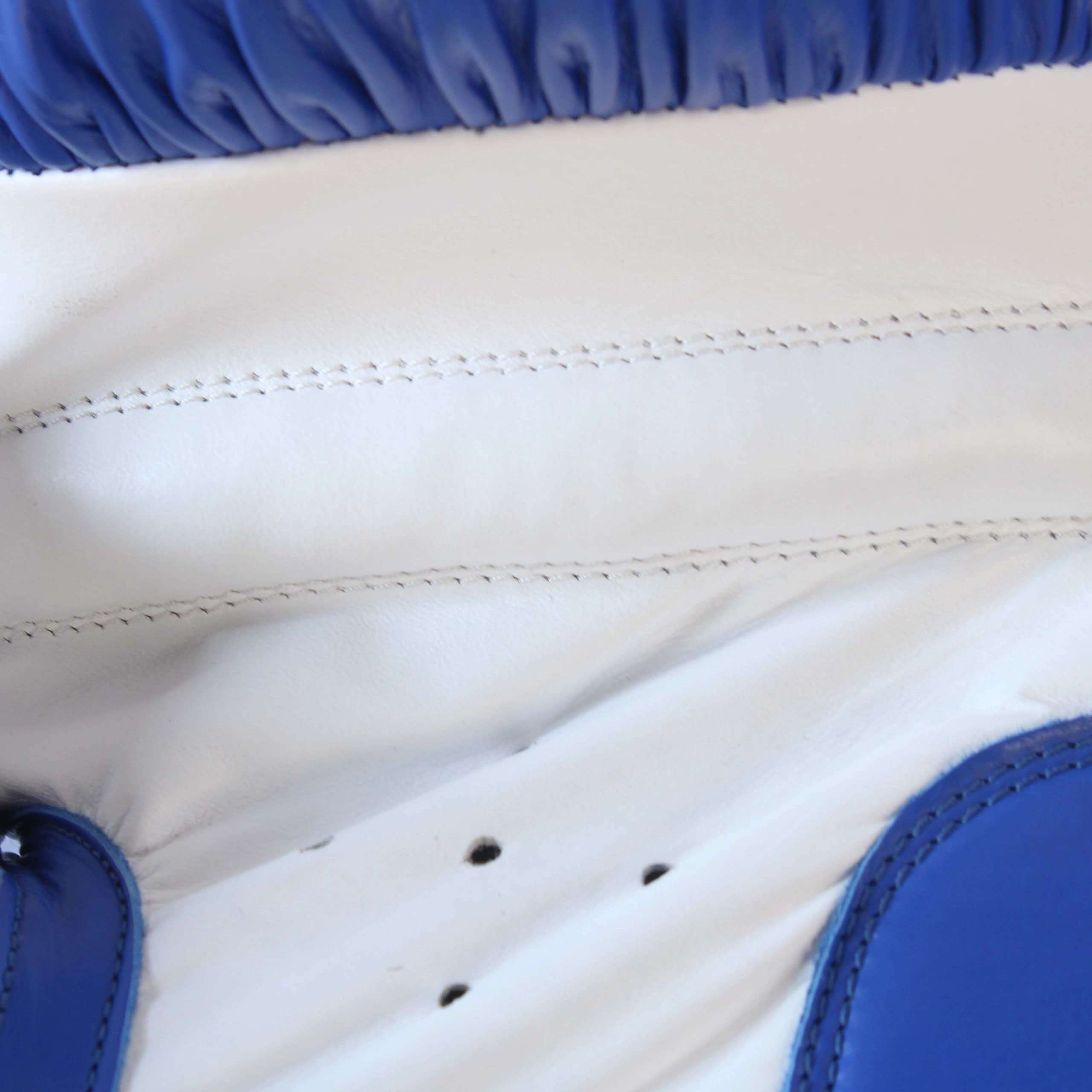 JJ Jonex Boxing Gloves, Boxing Fight Gloves for Professionals, Hight Quality Leather Boxing Gloves (14oz, Blue) 6