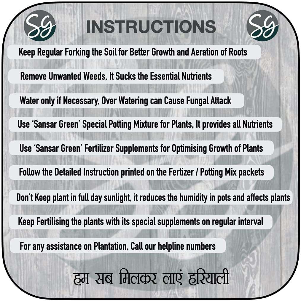 Sansar Green® Ficus Magic Mixture, Essential Super Powerful Organic Fertilizer for Ficus Plants with ++ Growth Booster and Active Micro Organism (200 gm) 4