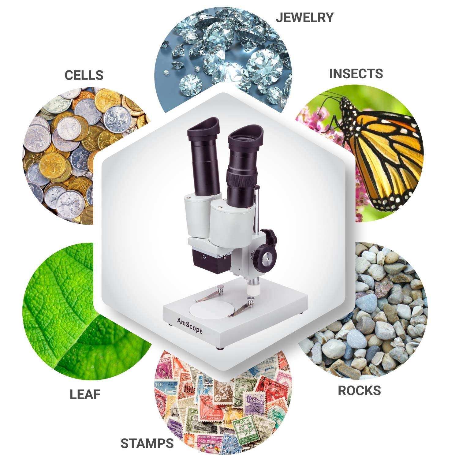 AmScope SE104-P Portable Binocular Stereo Microscope, WF10X Eyepieces, 20X Magnification, 2X Objective, Ambient Lighting, Reversible Black/White Stage Plate, Pillar Stand 4