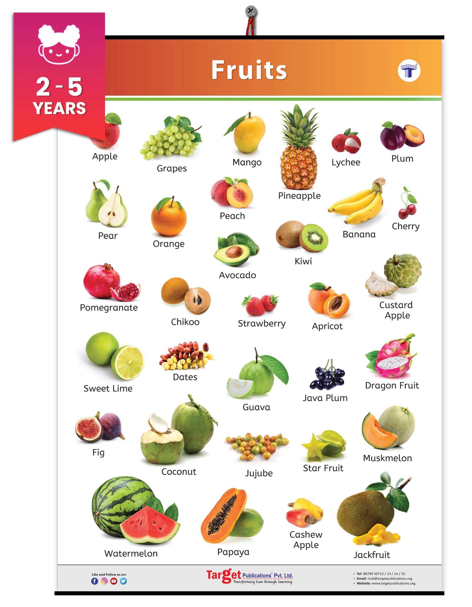 Jumbo Fruits Chart for Kids | My First Early Learning Educational Chart for Homeschooling, Kindergarten and Nursery Children | 39.25 x 27.25 in 1