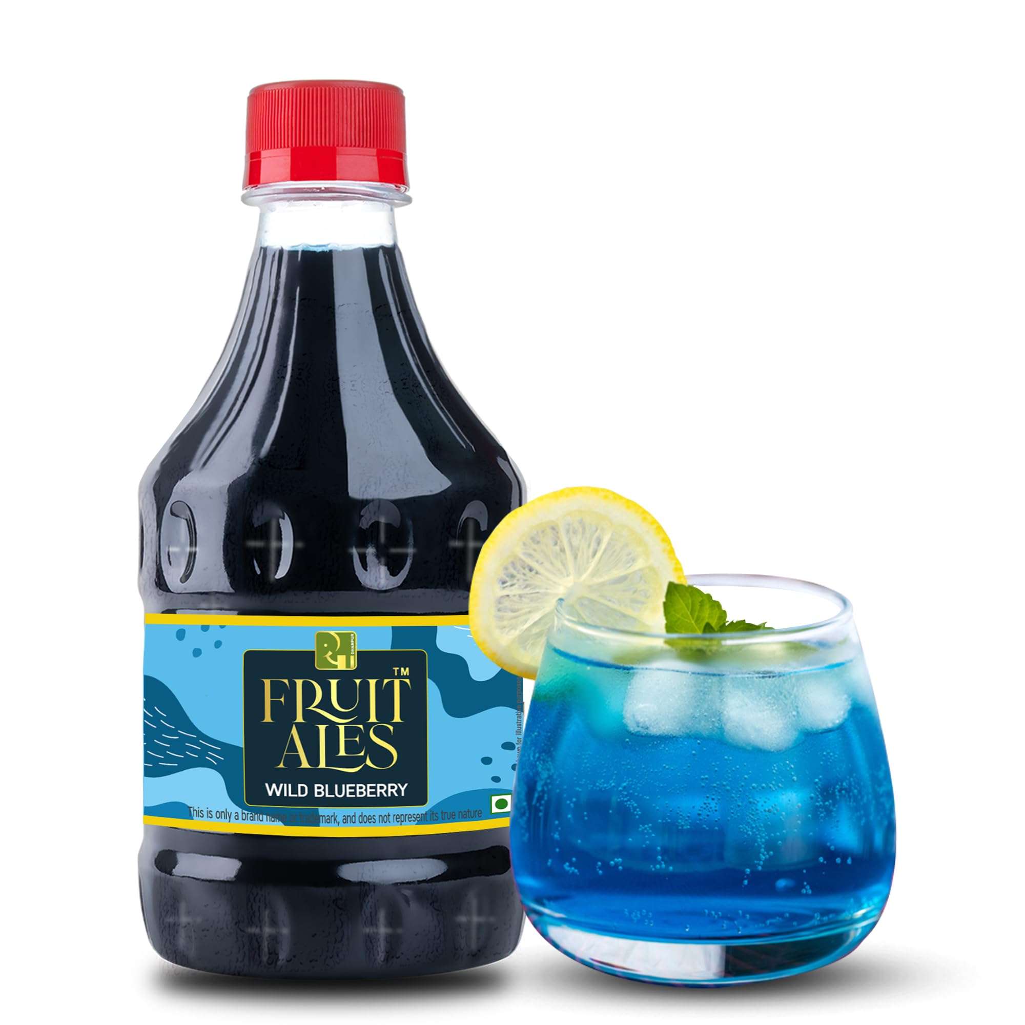 Dhampurgreen Assorted Mocktail Syrups - Blueberry, Kerala Pineapple, Jeera Masala Shikanji, Fruit Beer Flavoured Syrups - 1.2Ltr (4 X 300Ml) | Makes 12-15 Drinks Per Bottle 2