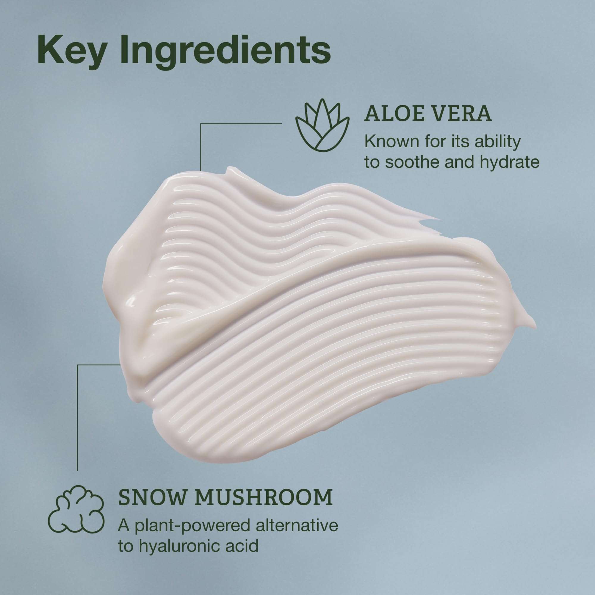 Botanics Lightweight Face Moisturizer & Recharging Night Cream for Women & Men - for Hydrated, Glowing Skin - Enriched with Snow Mushroom, Aloe Vera & Hibiscus AHA - Vegan & Cruelty-Free 4