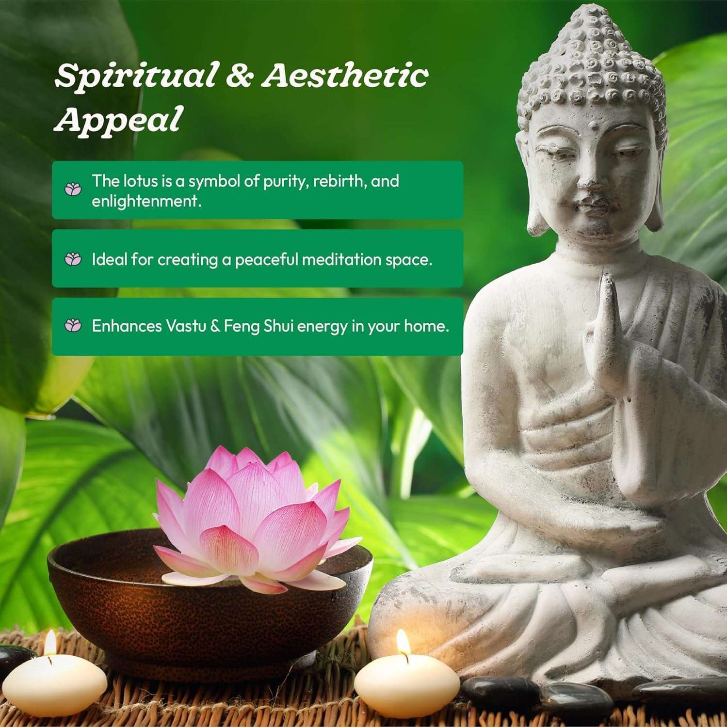 Ugaoo Lotus Seeds for Planting with Sandpaper - Pack of 20 Seeds | High-Germination Lotus Seeds for Planting in Water, Home Garden & Ponds 6