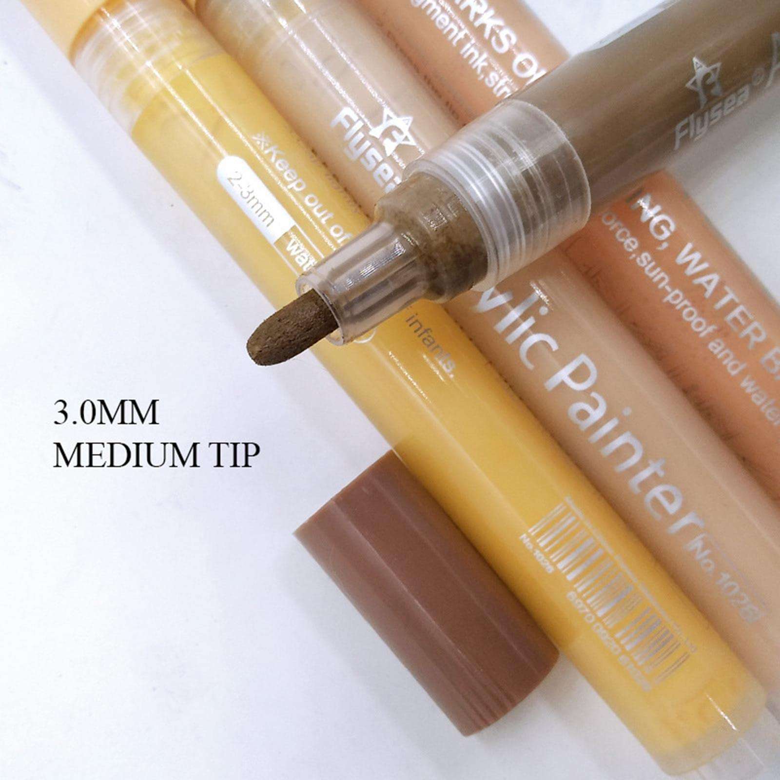 GIANTE 12 Color Acrylic Paint Pens 3.0mm Medium Tip Paint Markers Home DIY Painting (59035135GI) 3