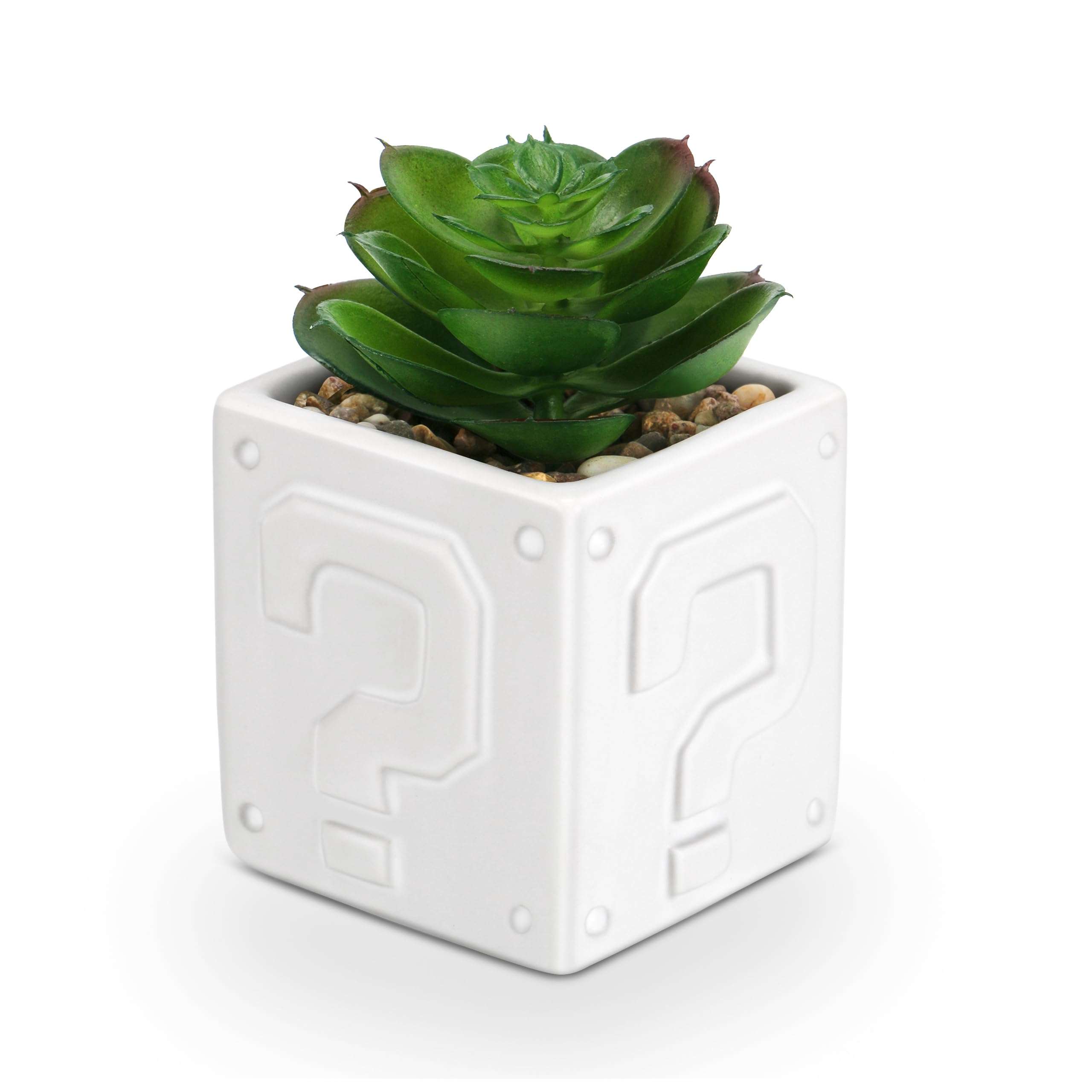 WOODWORD Fake Succulents Plants Artificial with Question Pattern White Ceramic Pot for Bathroom Bedroom Home Office Desk Shower Decor Aesthetic Indoor - Set of 1 1