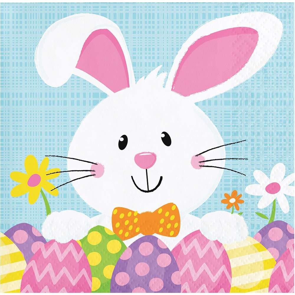 Creative Converting Easter Bunny Paper Beverage Napkins, Multicolor 1