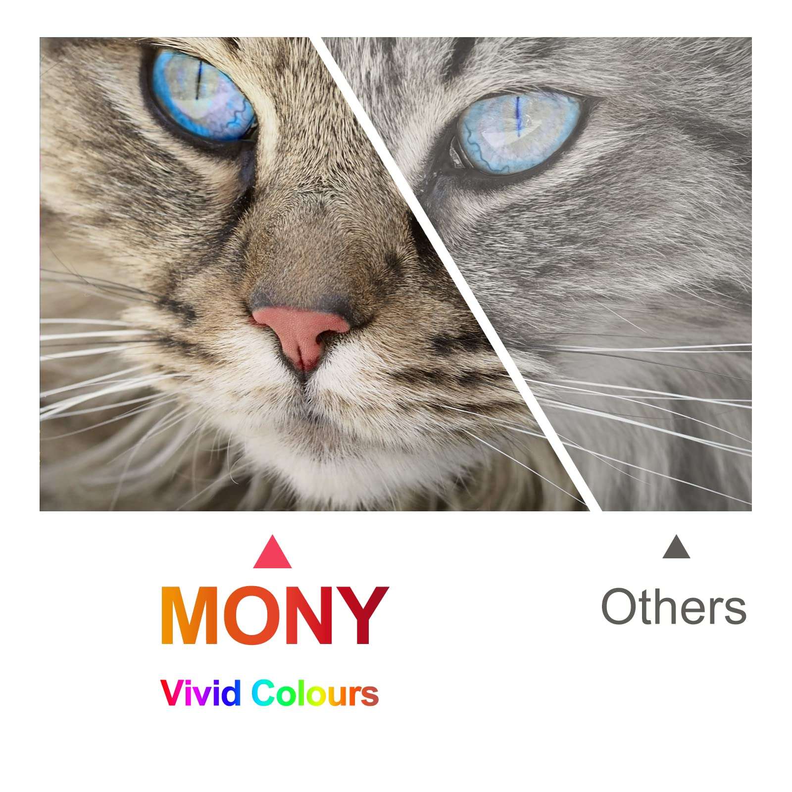 MONY Compatible Ink Cartridges Replacement for Canon PGI-280XXL,CLI281XXL 280 281 XXL Used in Canon Pixma TR7520 TR8520 TS6120 TS6220 TS6320 TS8120 TS9520 TR8500 TS702 TS8210 Printers (5 Packs) 5