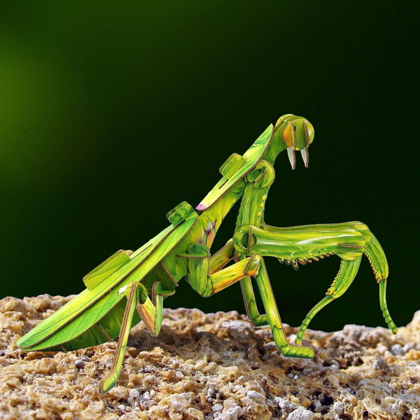 MAKEBUG STEM Toys Eco-Friendly 3D Paper Puzzles, Educational Toys for 7+ Year Old, Preschool Toys for Birthday, Christmas, Holidays(Giant Asian Mantis and Phyllium)…… 3