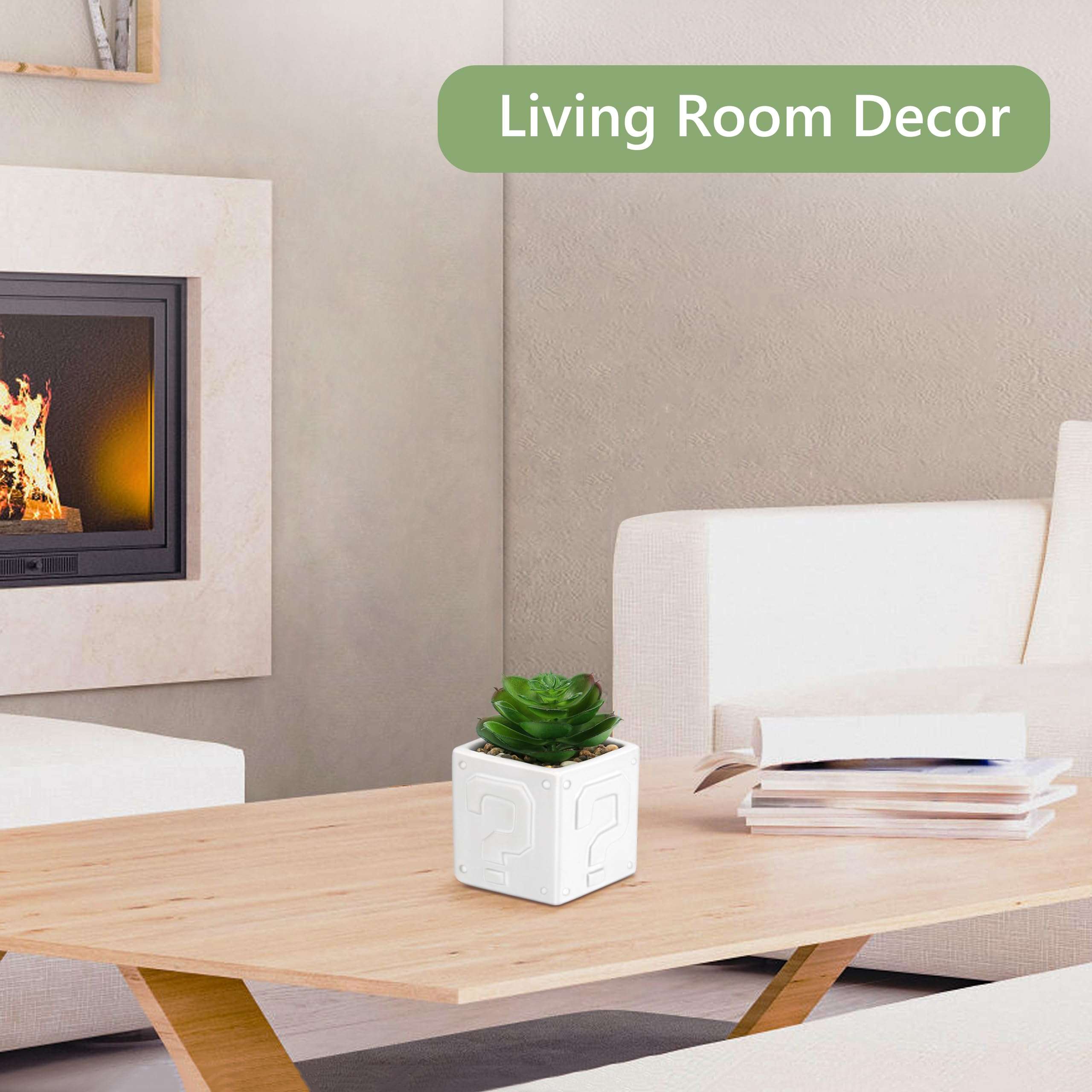 WOODWORD Fake Succulents Plants Artificial with Question Pattern White Ceramic Pot for Bathroom Bedroom Home Office Desk Shower Decor Aesthetic Indoor - Set of 1 4