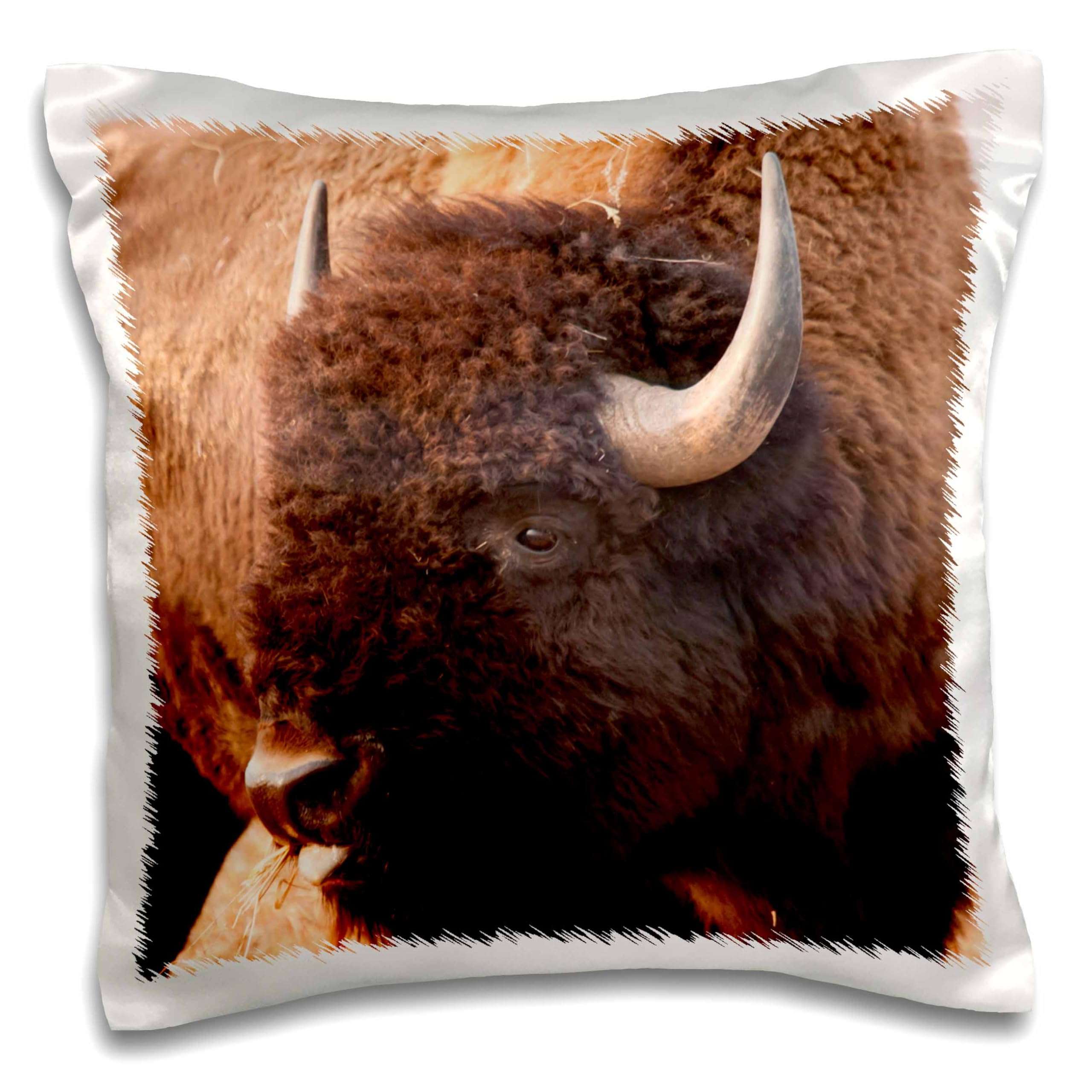 3dRose pc_191355_1 American Bison Herd in Teton NP, Wyoming, USA - Pillow Case, 16 by 16" 1