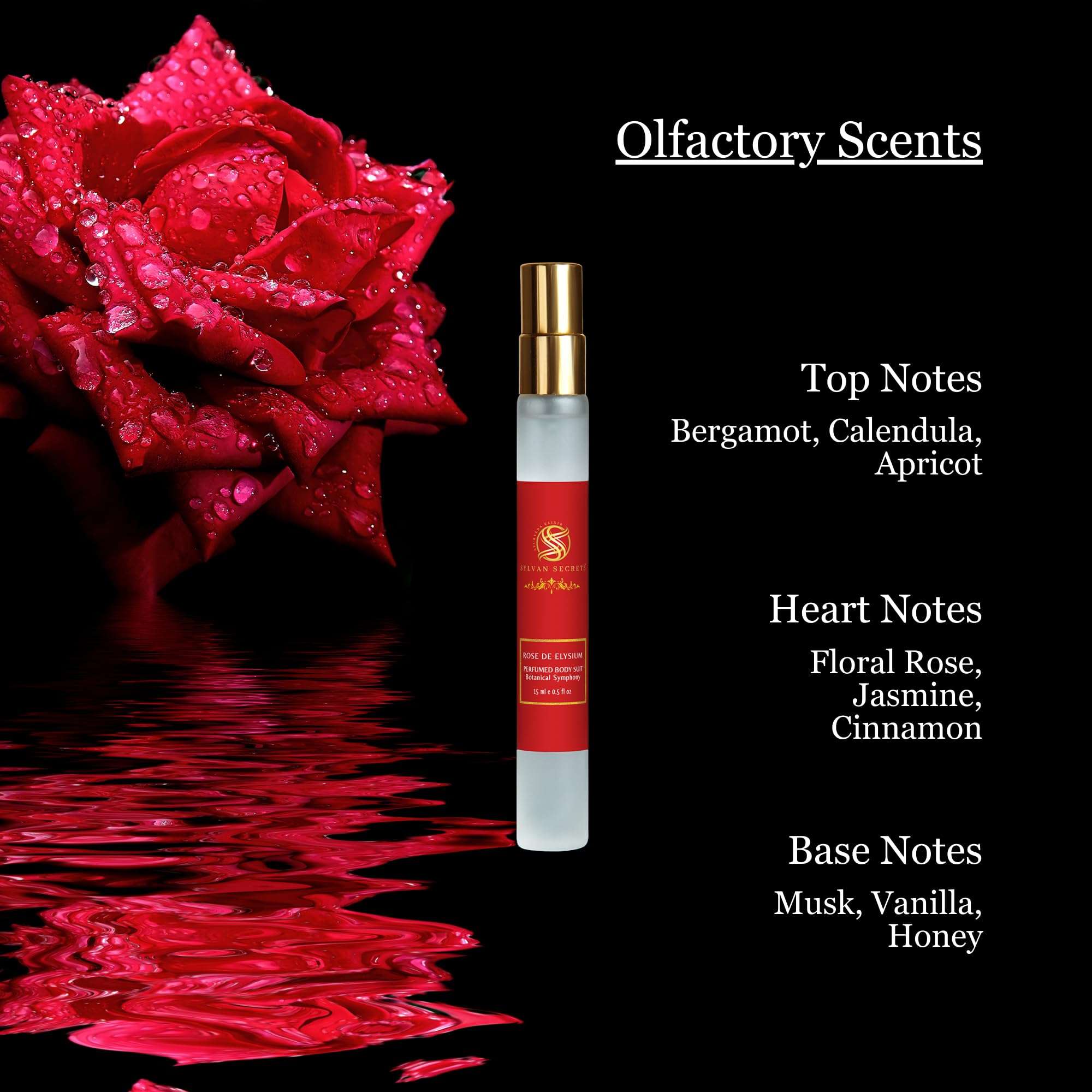 Sylvan Secrets Intense Perfume Rose De Elysium | Botanical Symphony | Pure & Natural | Non-Alcohol | Pleasant Floral Fragrance Boost Confidence for Men & Women (15 ml) 3