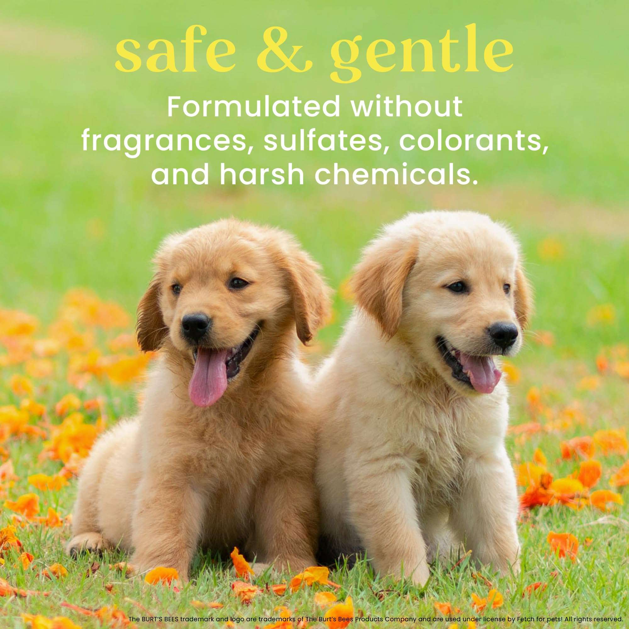 Burt's Bees Tearless 2 in 1 Shampoo and Conditioner for Puppies, 16 Ounces 5