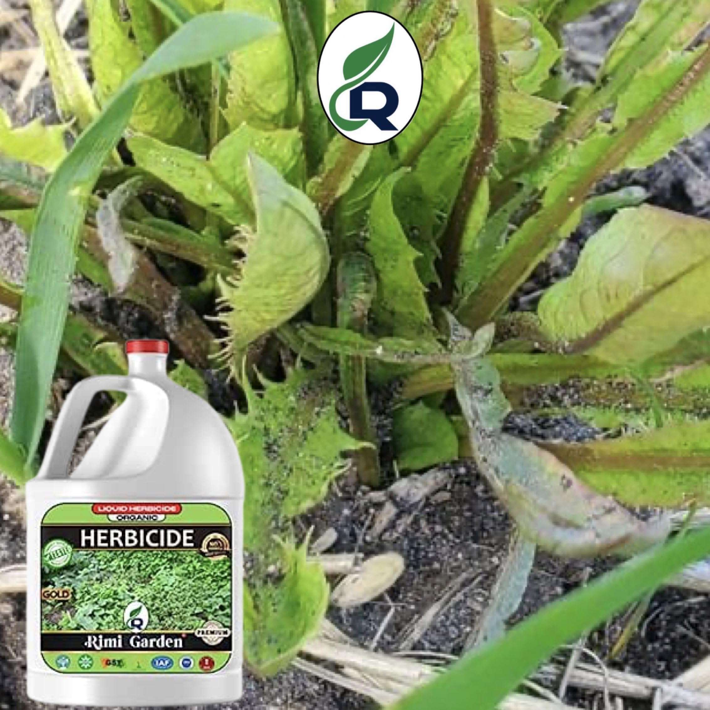 Rimi Garden® Herbicide, Premium Organic Liquid Herbicide for Removing Wild Herbs. (500 ml) 6