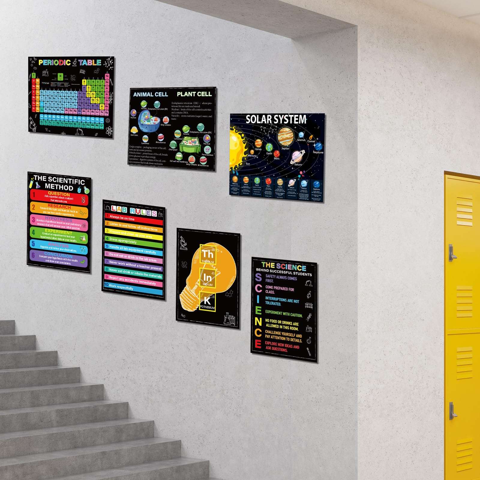 12 Periodic Table Poster Science Posters for Classroom Middle School Science Bulletin Board Sets for Classroom Science Posters for Middle School Classroom Decor Middle School Poster Large Colorful 5