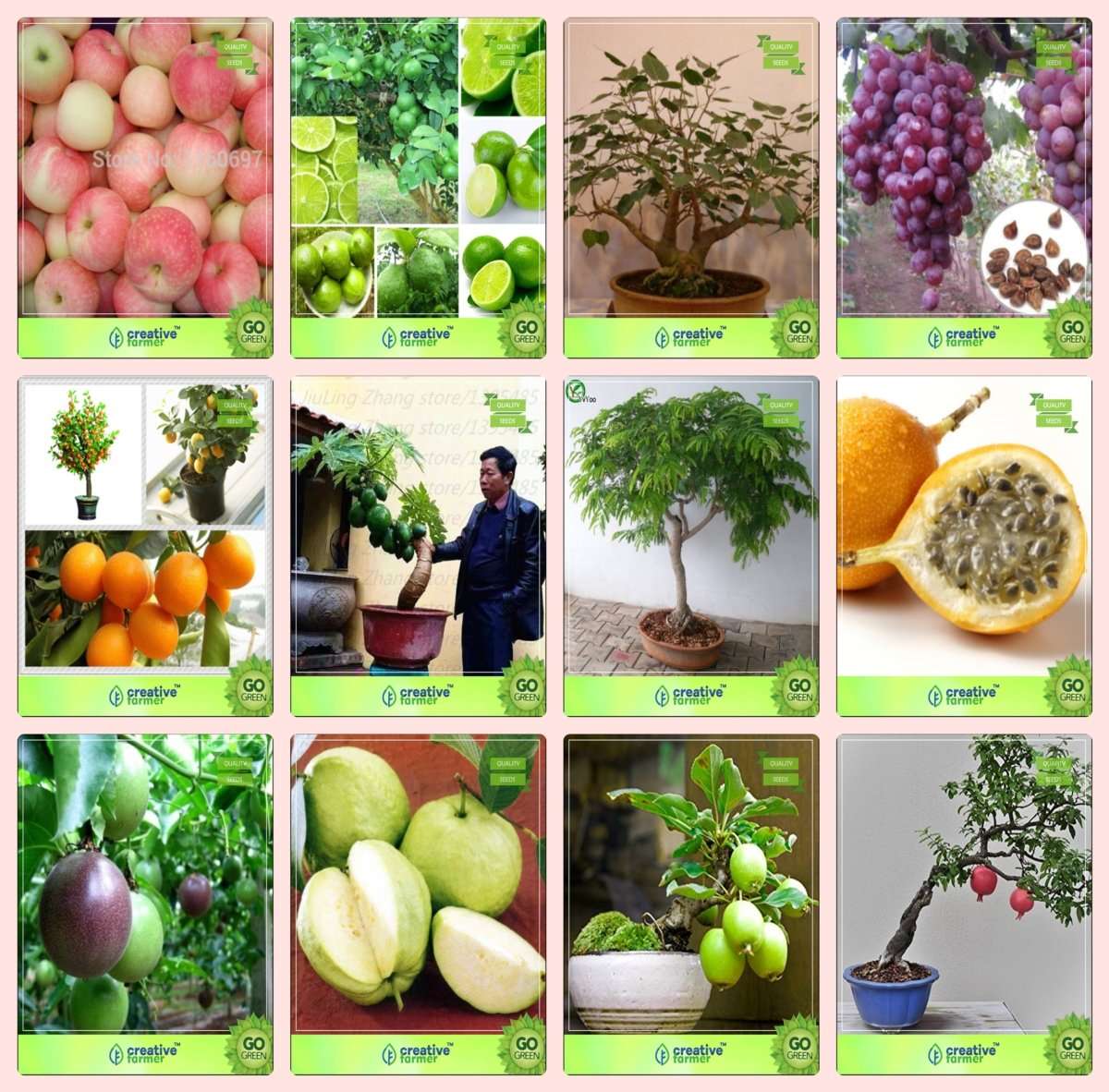 Creative Farmer Bonsai Suitable Seeds : Best Pot Suitable Combo Apple, Lemon, Ficus Religiosa, Grapeorange,Papaya,Tamarind,Passion Fruit - Yellow and Others -1 Packs 1