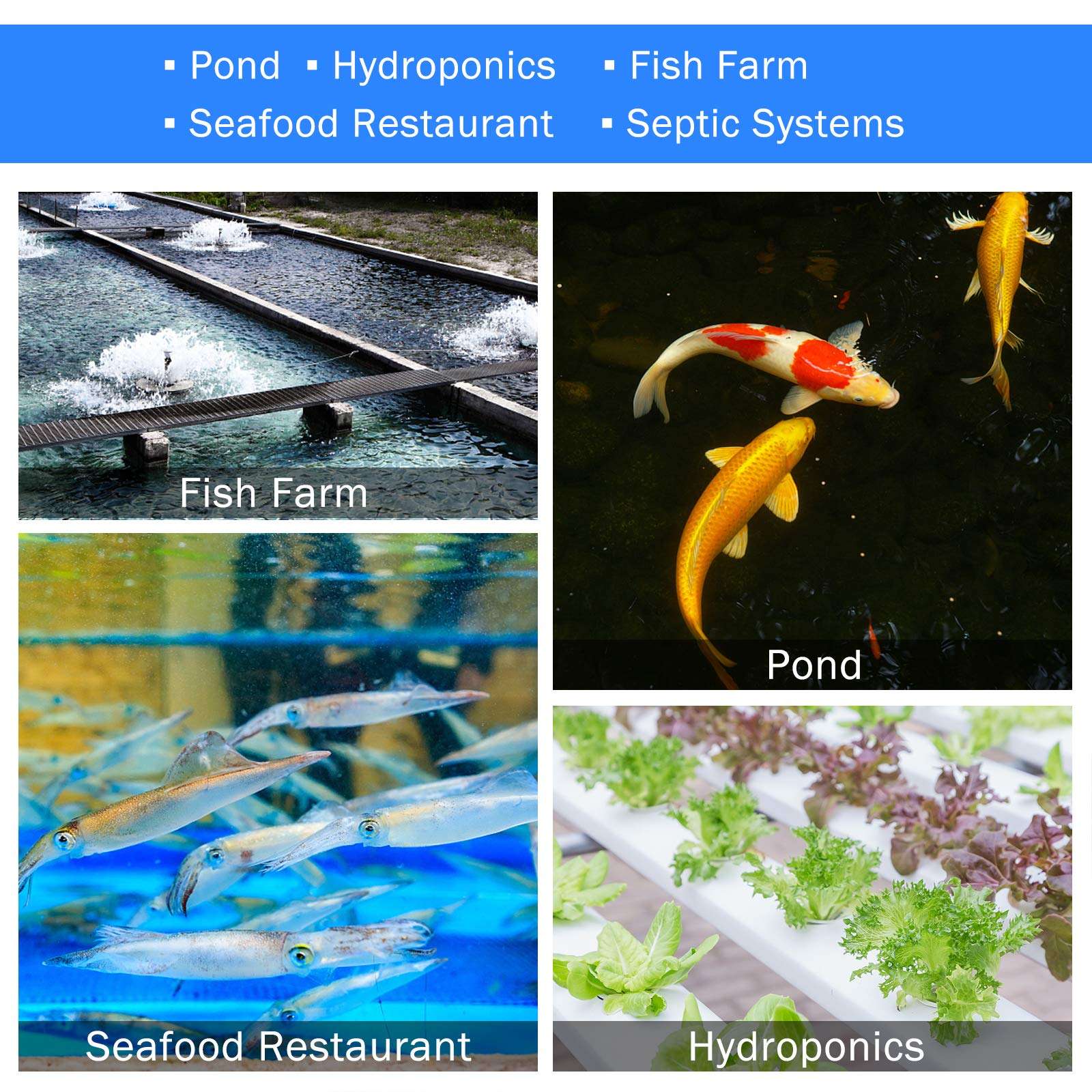 AquaMiracle Linear Air Pump AP80 for Pond Aeration, Septic Air Pump, Hydroponic Air Pump, Pond Air Pump, 1350GPH 0.028MPa, for Pond, Waste Treatment, Aquarium, Fish Farm, Seafood Restaurant 6