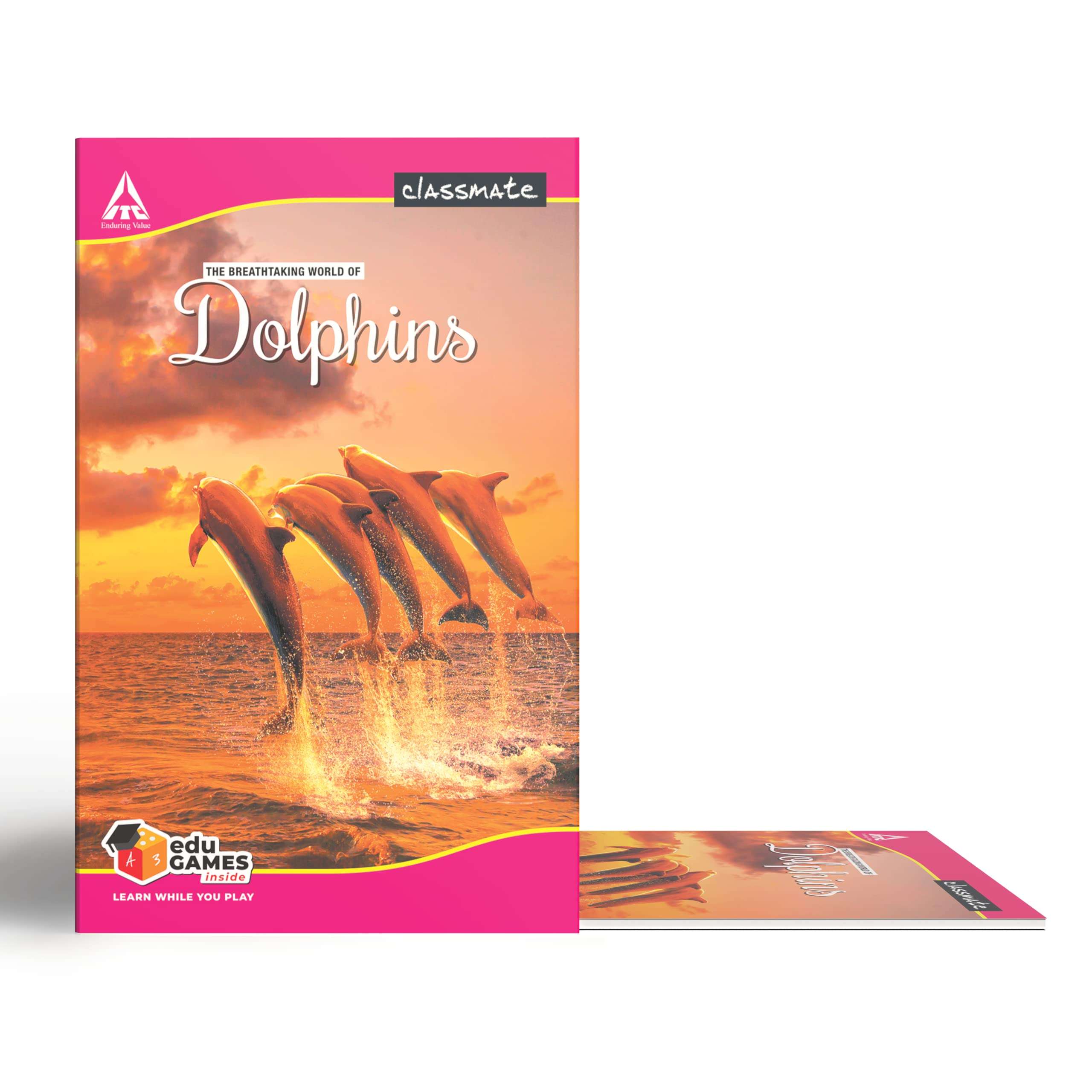 Classmate Long Book - Unruled & Classmate Pulse Spiral Notebook, Unruled 4