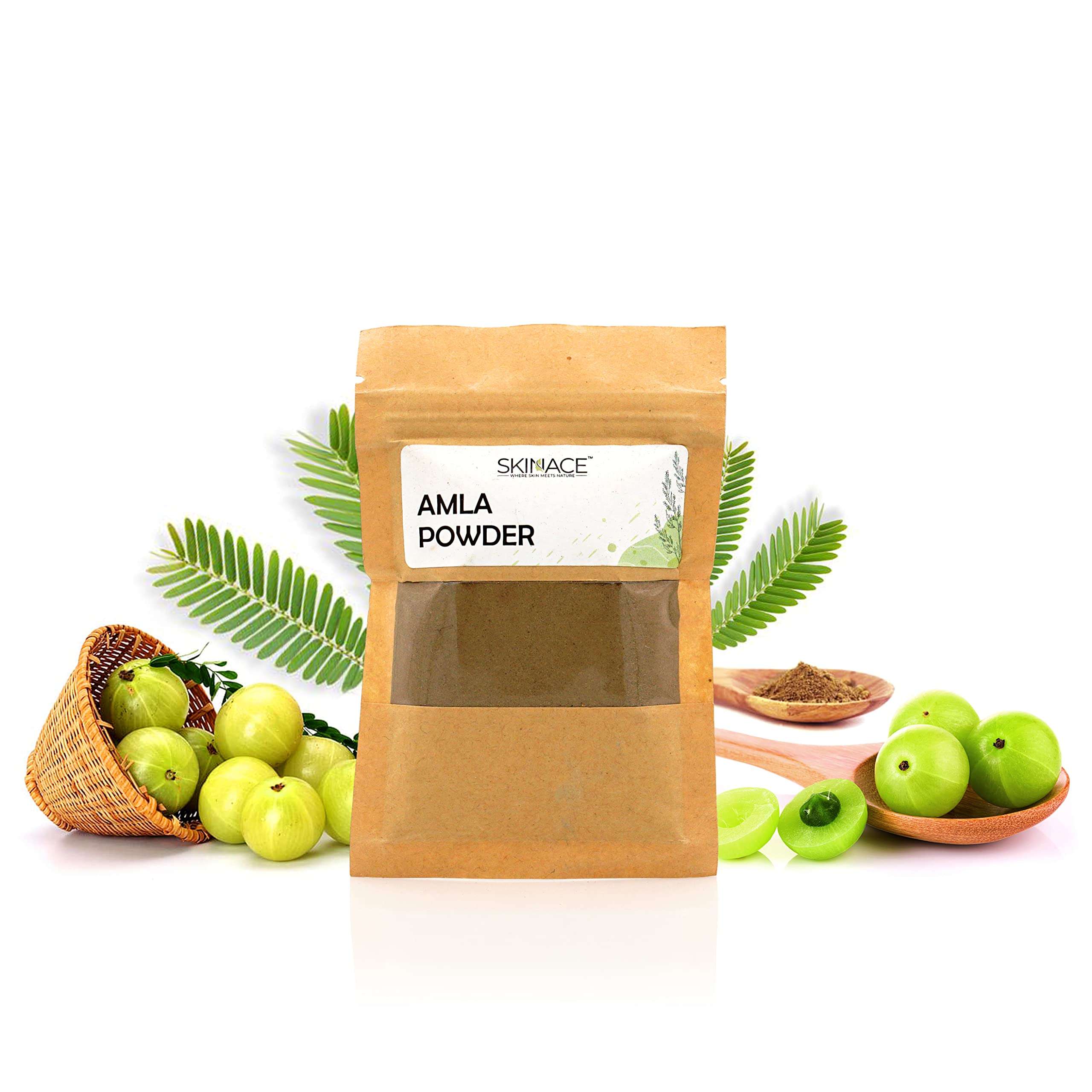SKINACE Natural Amla Powder (40g) 1