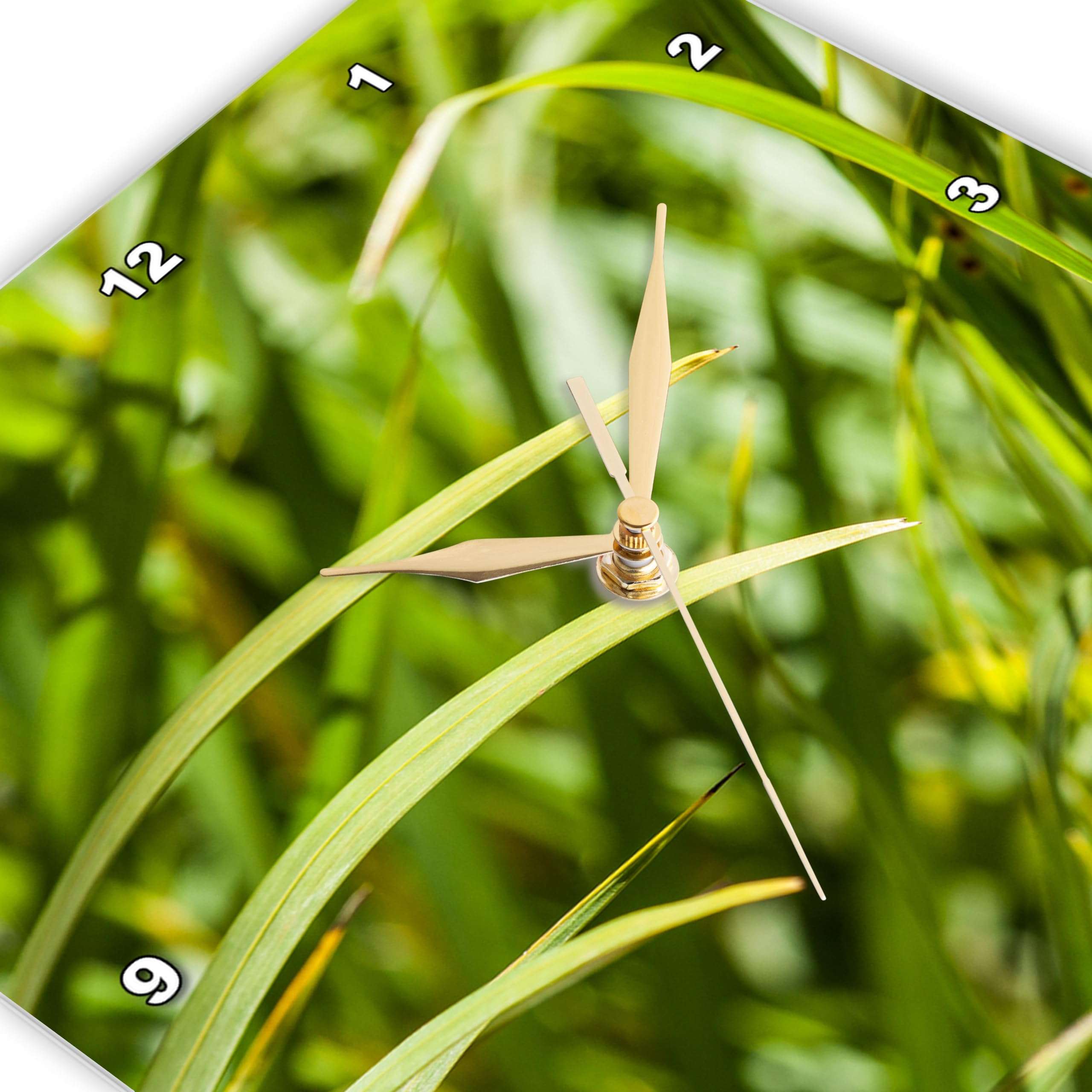 3dRose Wall Clock Silent - 15 inch - Blades of Green Grass. Joy of Spring Season - Alexis Photography - Nature Grass 3