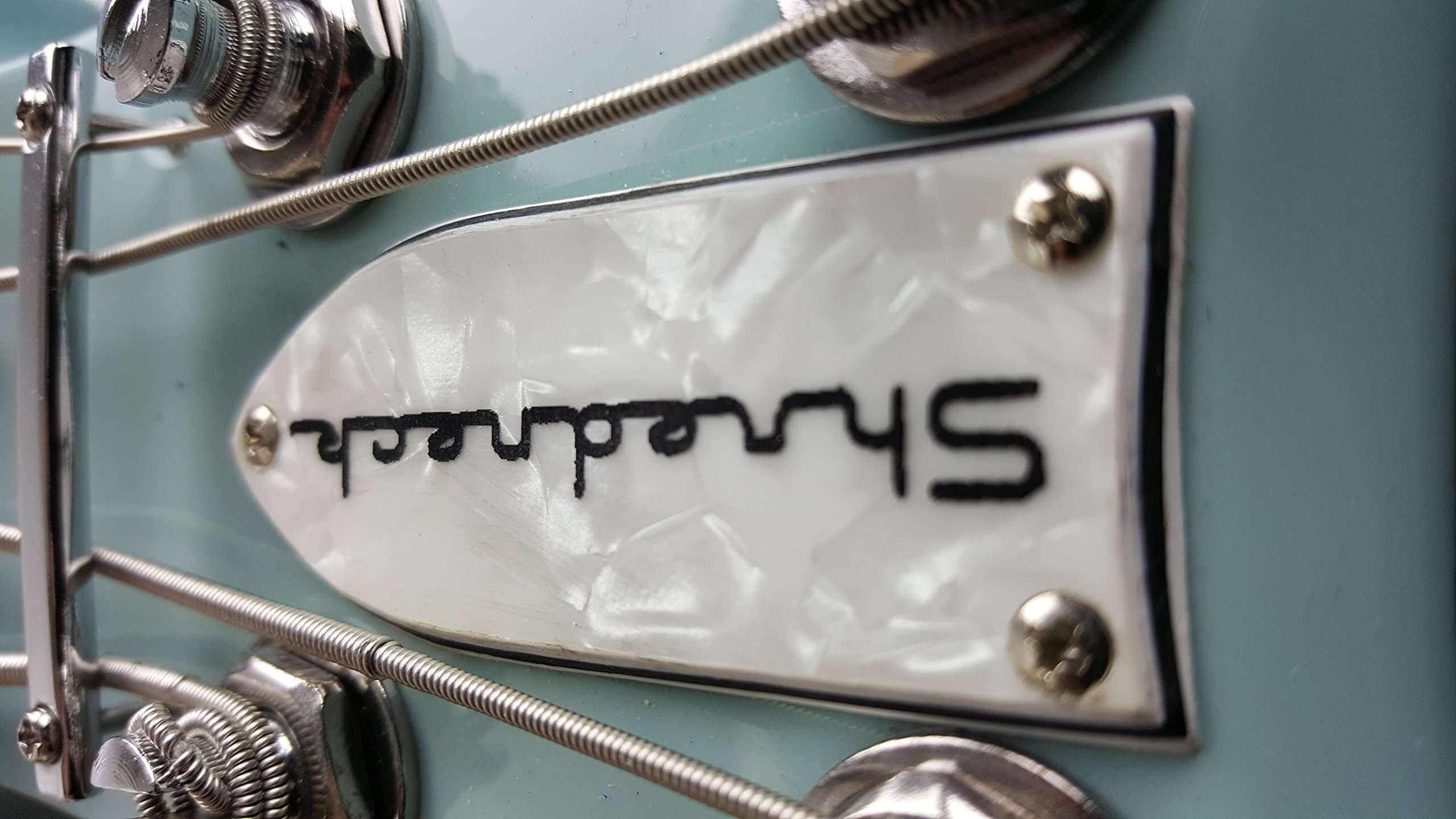 Shredneck Bassneck Billy Sheehan Signature Model - Sonic Blue 4