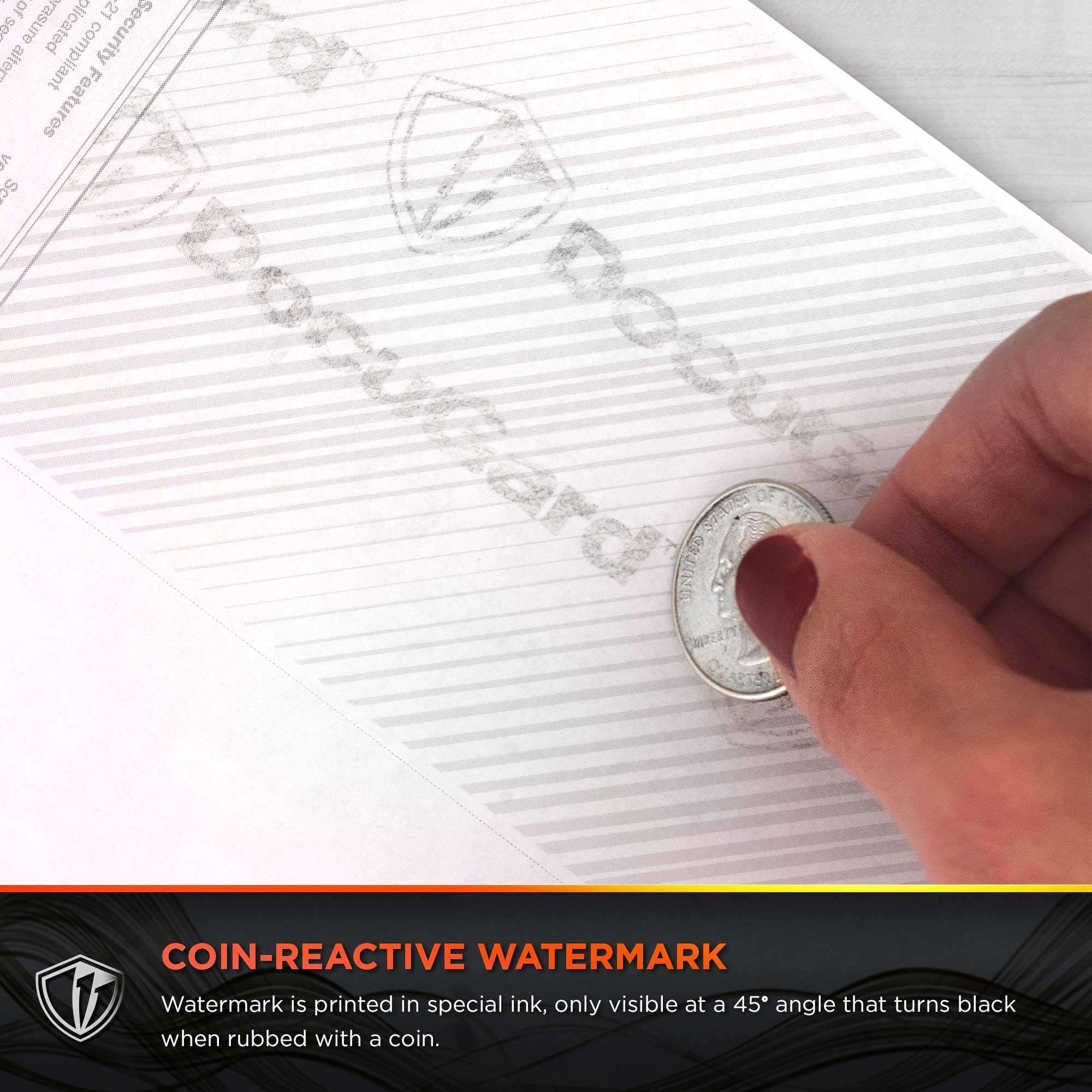 DocuGard Premier Prismatic Check, 13 Features, 8.5 X 11, Blue/Green Prismatic, 500/ream 6