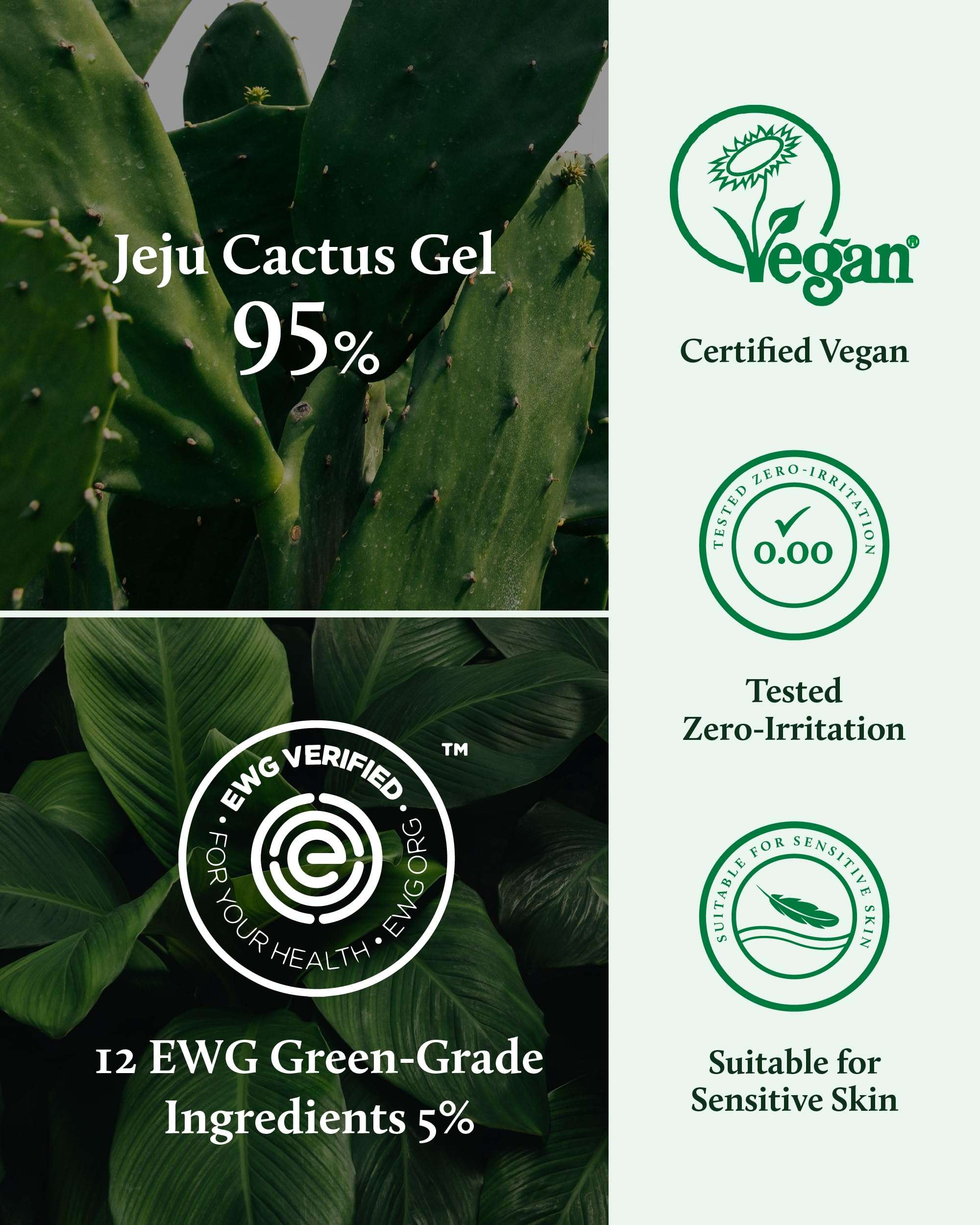 YADAH Cactus Soothing Gel 8.45fl oz & Camellia Red Youth Serum 1.01fl oz - Vegan Sunburn Relief, Calm, Cool & Soothe Irritated Skin Korean Skin Care - Wrinkle care Hydratin & Firming care Facial Serum 4