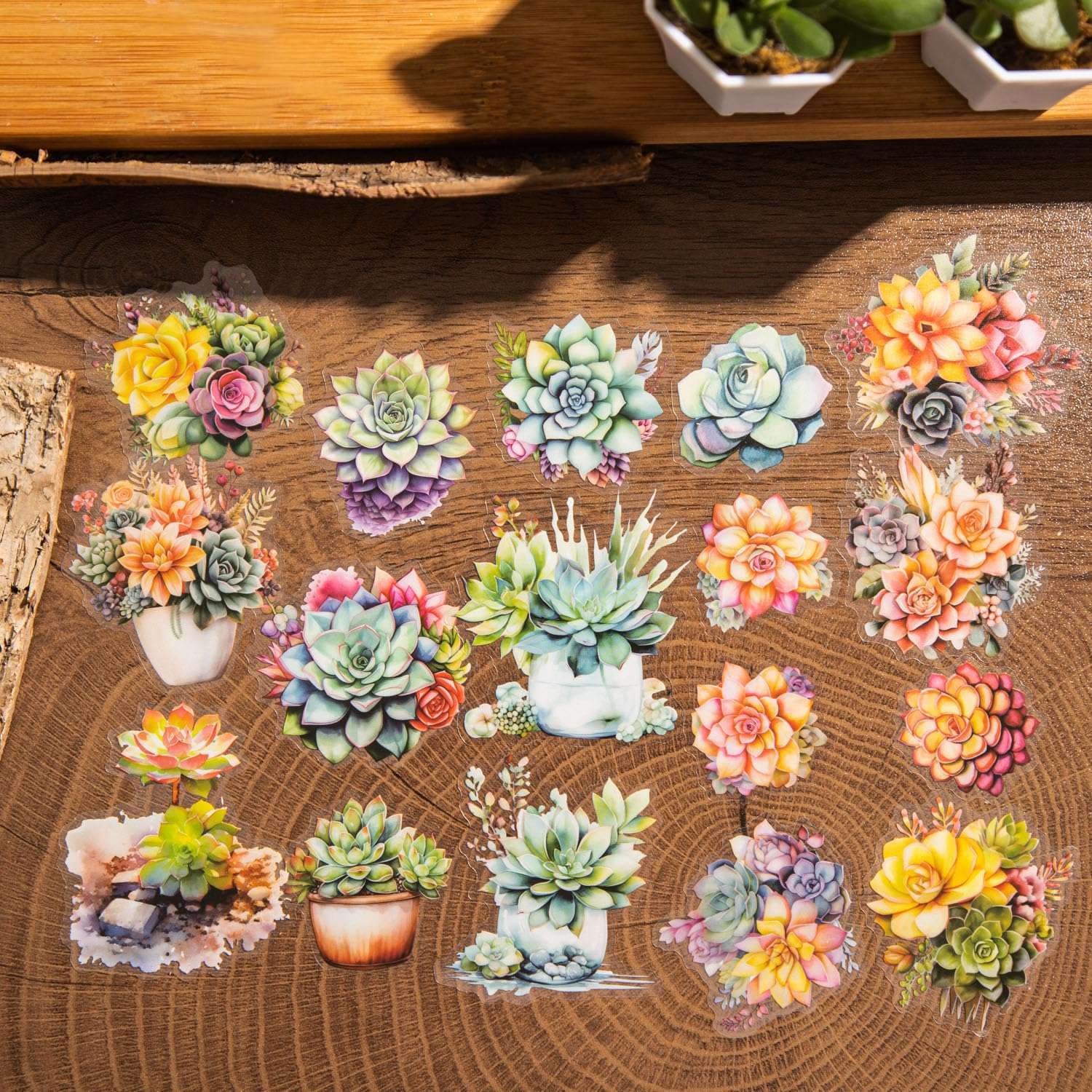 Miyouluna 120Pcs Colorful Succulent PET Stickers, Vibrant Multicolor Botanical Designs for Journaling, Scrapbooking, DIY Crafts, and Creative Projects 4