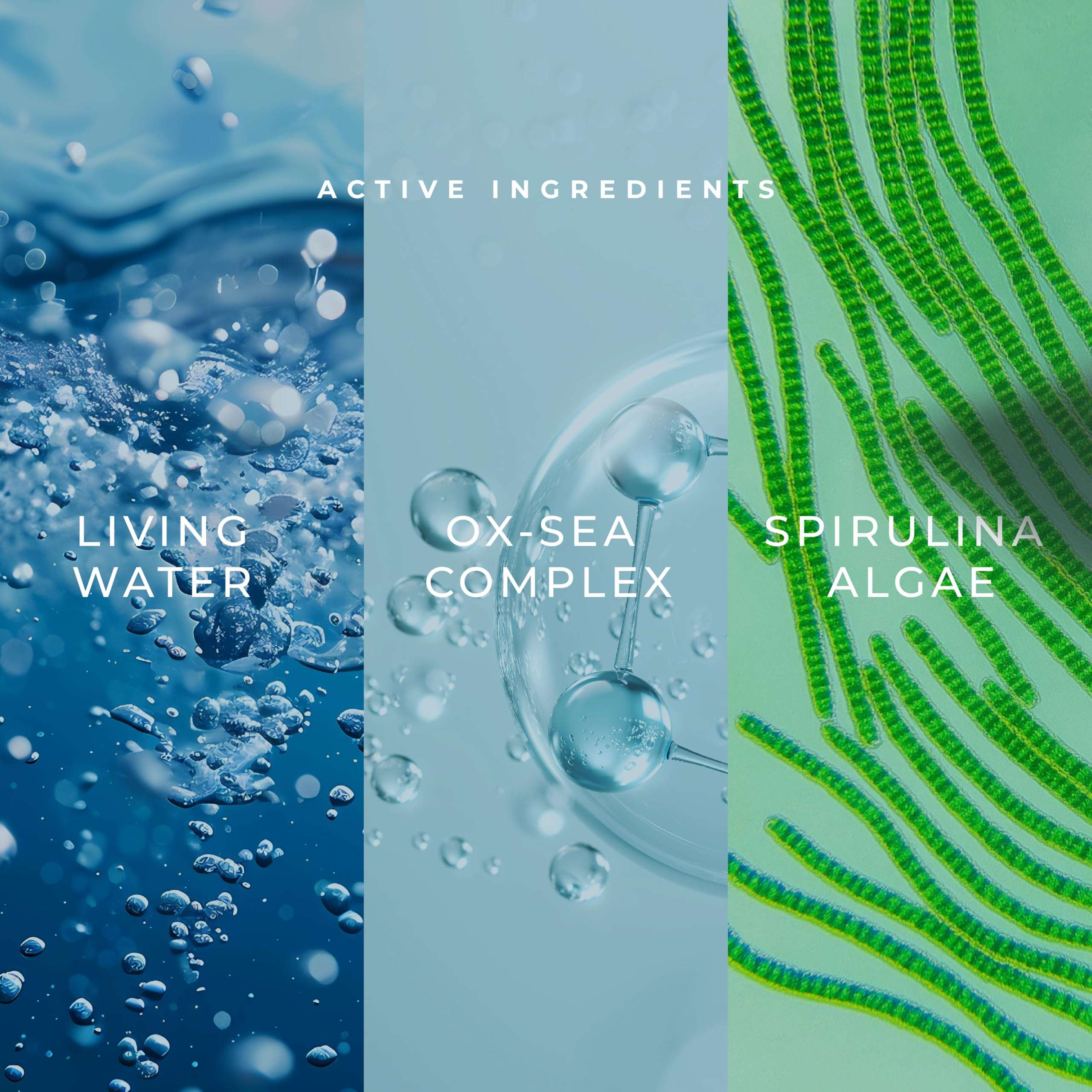 Kanpeki Bridal Bright 10 Step Oxygen Facial Kit with Living Water | Hydrating, Purifying & Youthful Radiance Ritual, Glow & Fine Line Care | Infused with Spirulina & Vital Minerals | Suitable for All Skin Types 5