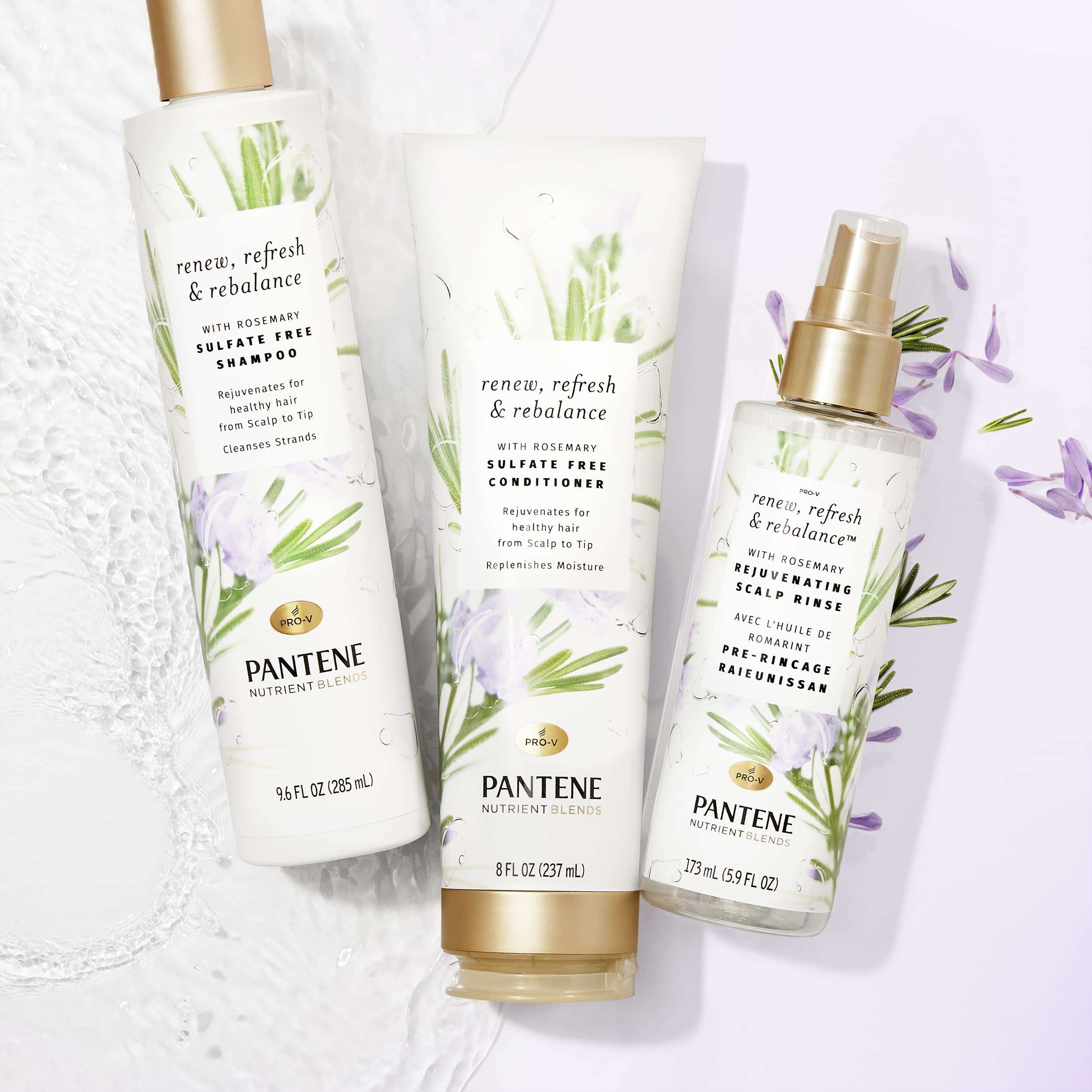 PANTENE NUTRIENT BLENDS Rosemary Rejuvenating Scalp Rinse, 5.8 fl oz/173 mL 5