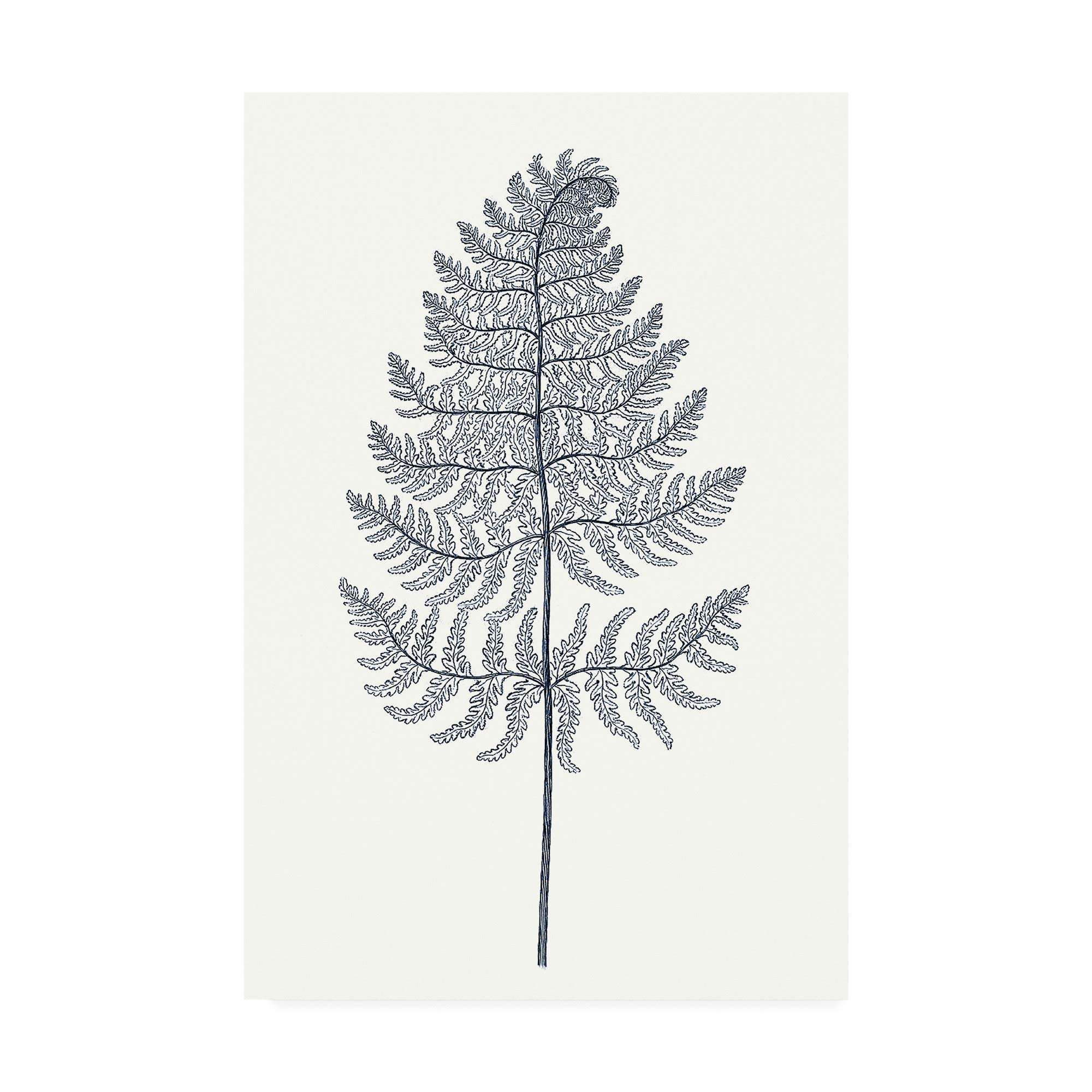 Trademark Fine Art Indigo Botany Study VIII by Vision Studio, 22x32, Multiple 1