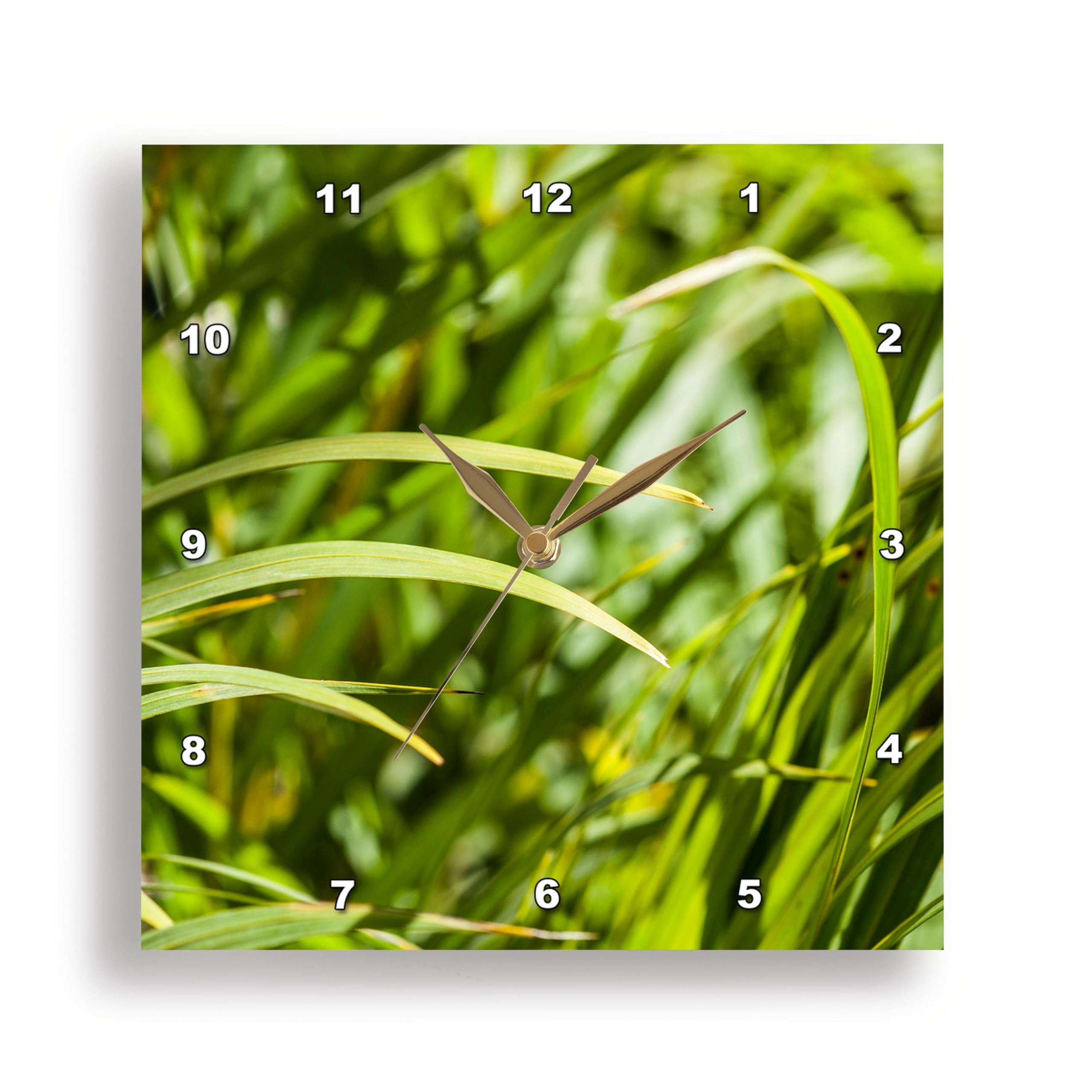3dRose Wall Clock Silent - 15 inch - Blades of Green Grass. Joy of Spring Season - Alexis Photography - Nature Grass 1
