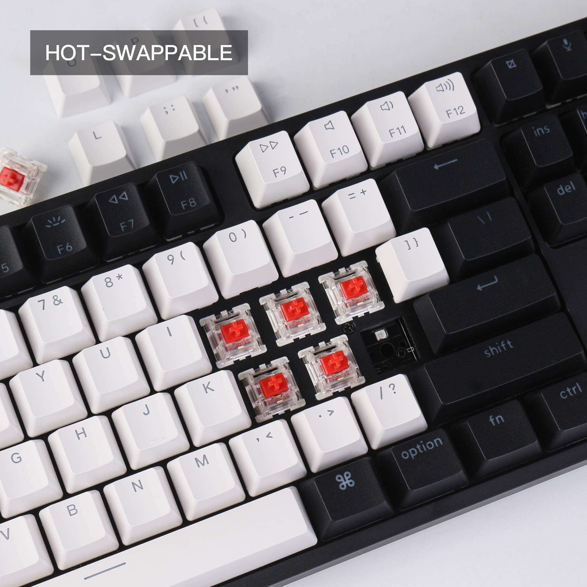 Keychron C1 Hot-swappable Wired Mechanical Keyboard with Gateron G Pro Red Switch/Double-Shot ABS Keycaps/White Backlight/USB Type-C Cable, Tenkeyless 87 Keys Computer Keyboard for Mac Windows PC 2