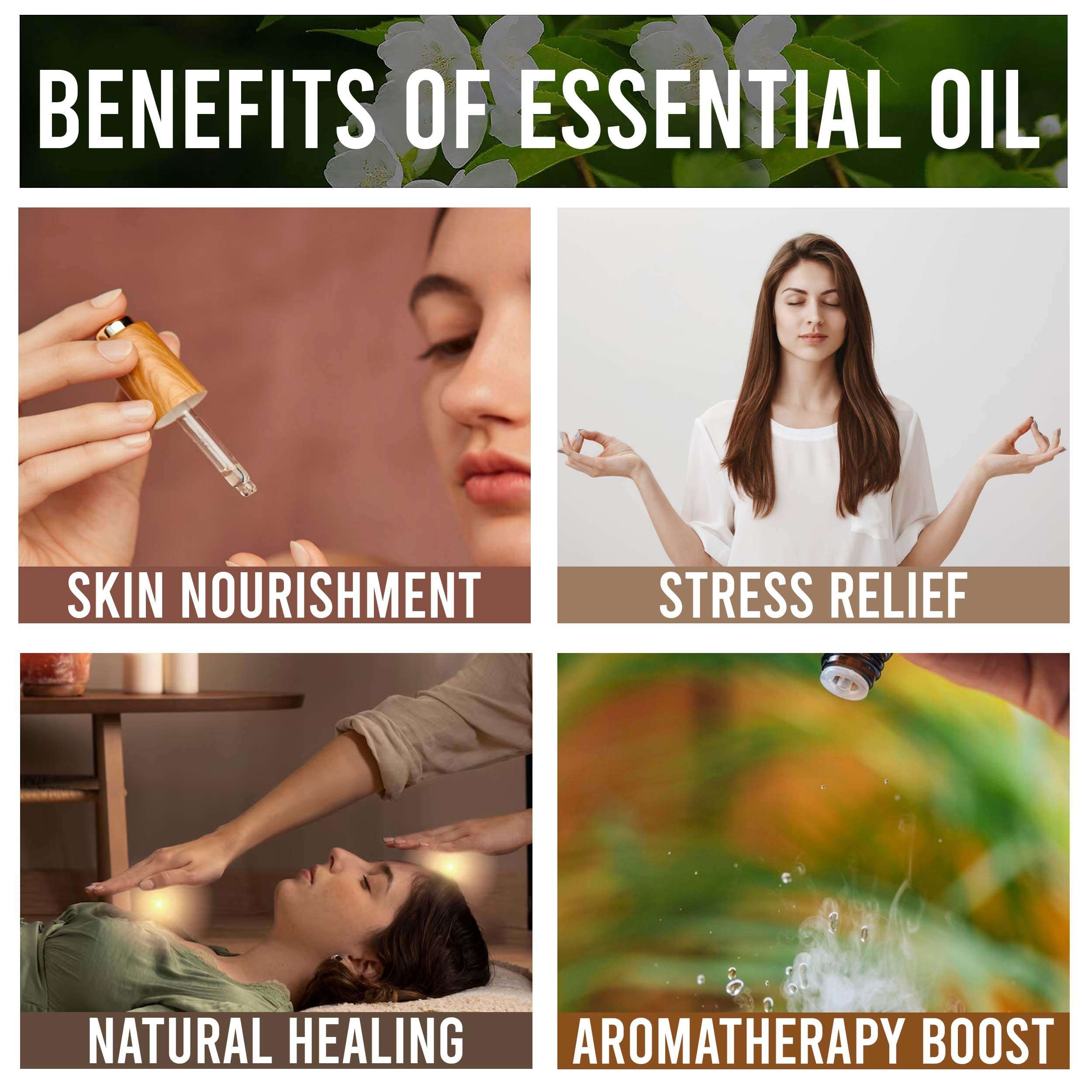 Allin Exporters Elemi Essential Oil Pure Natural Undiluted Organic Therapeutic Grade for Aromatherapy & Other Benefits (100 ML) 6