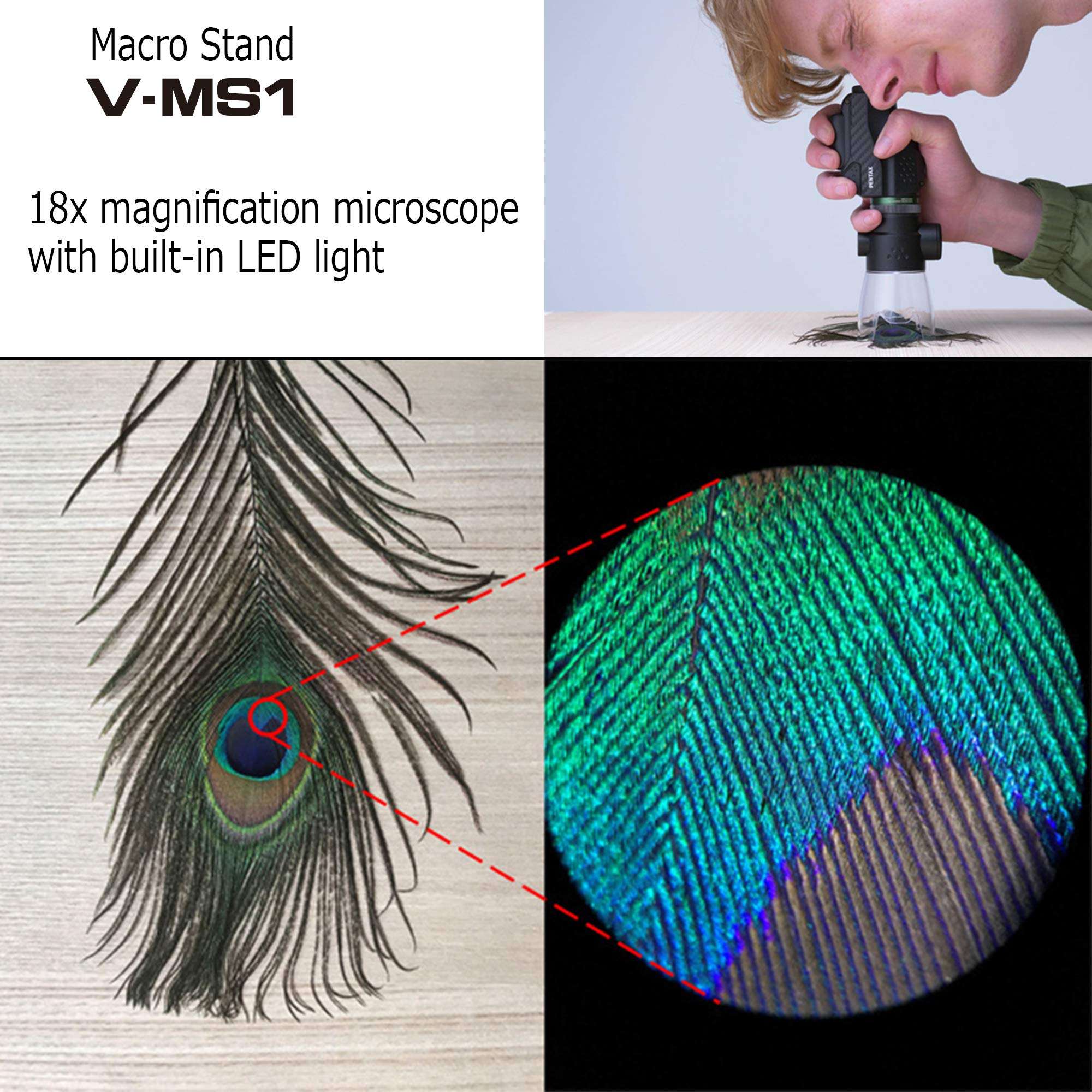 PENTAX V-MS1 Monocular Macro Stand with LED Light for PENTAX VM6X21 When Attached to The monocular, You can use it as a Microscope for 18x Magnification - Perfect for observing Microscopic Detail 4
