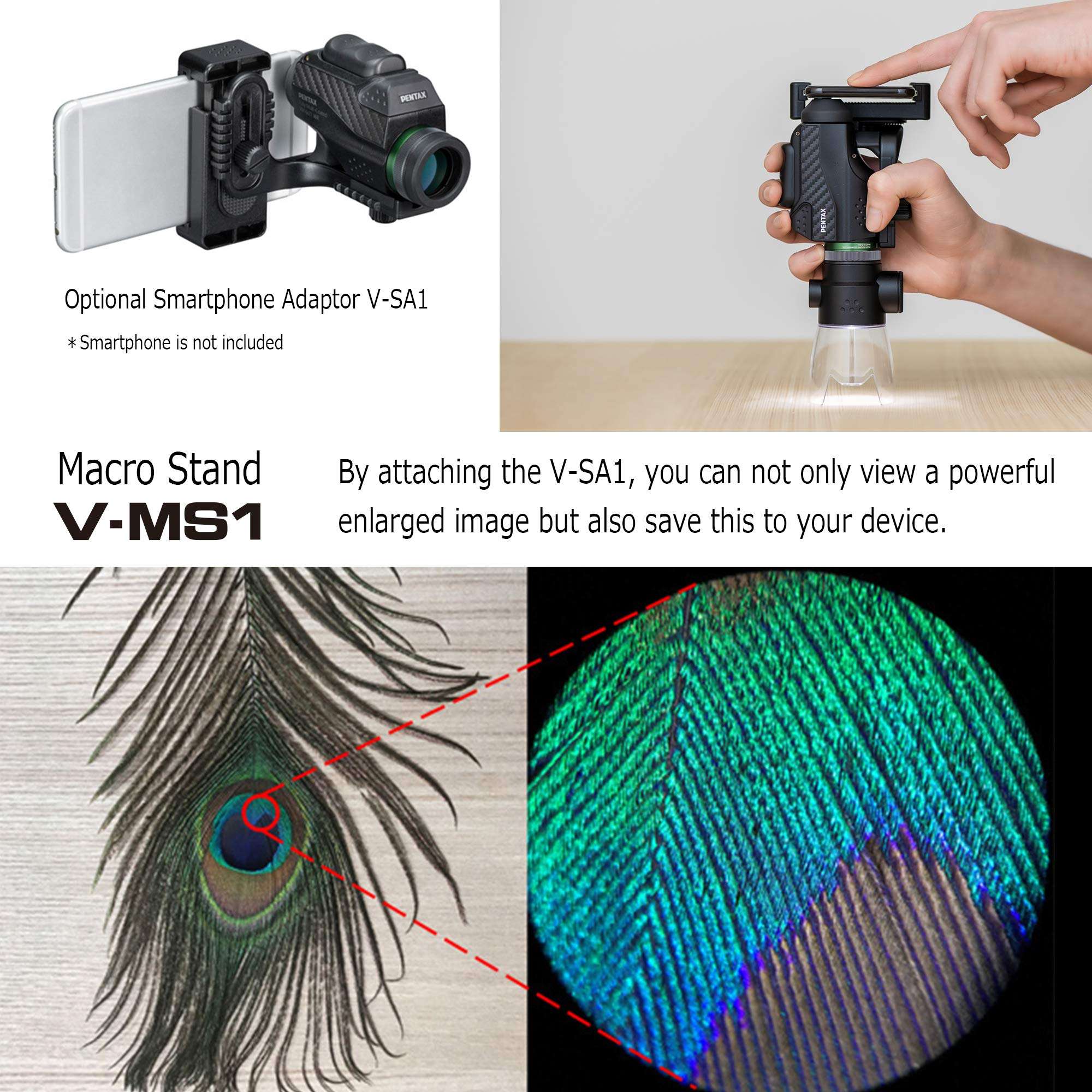 PENTAX V-MS1 Monocular Macro Stand with LED Light for PENTAX VM6X21 When Attached to The monocular, You can use it as a Microscope for 18x Magnification - Perfect for observing Microscopic Detail 5