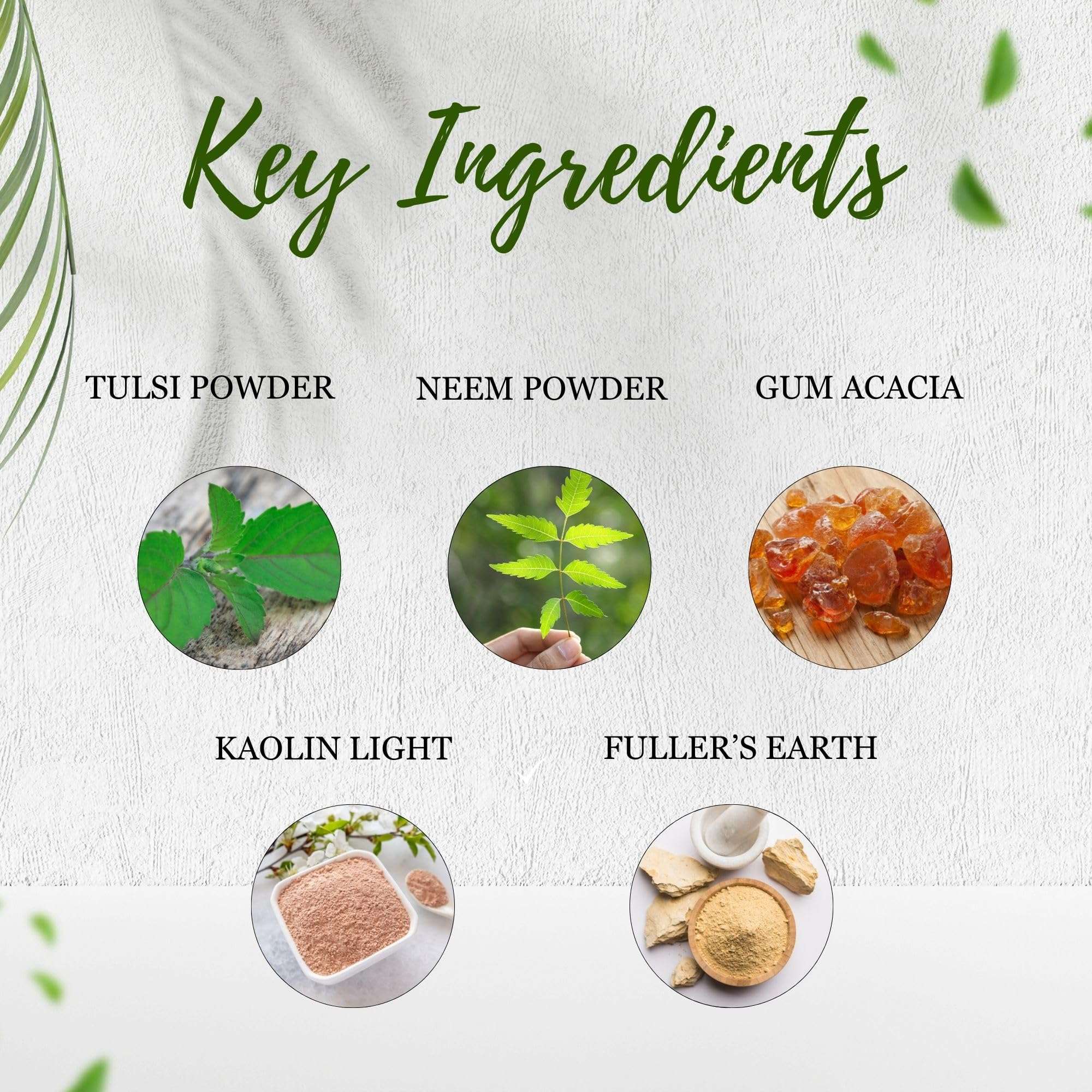 Sanjeevani Natural Neem Tulsi Face Pack for Pimples & Acne | Herbal Face Mask for Oily Skin, Glowing Skin & Dark Spots | Anti-Acne, Deep Cleansing & Skin Purifying | 100g Ayurvedic Powder 5