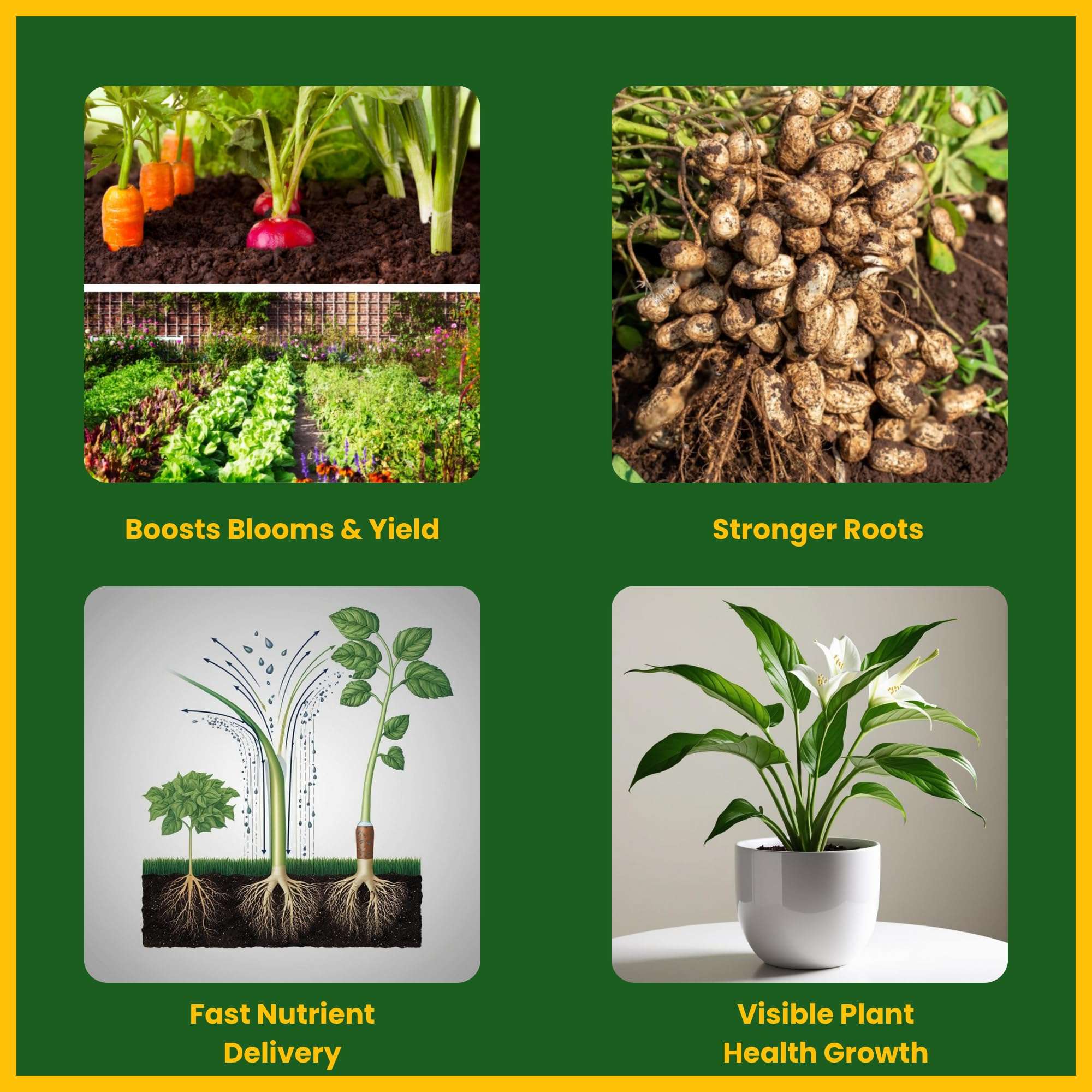 Utkarsh NPK 13 40 13 Fertilizers for Plants | 100% Water Soluble Powder | Complete Plant Food and Nutrition for Healthy Home Garden, Growth Boost for Fruits and Flower (900 gm; Pack of 1) 4