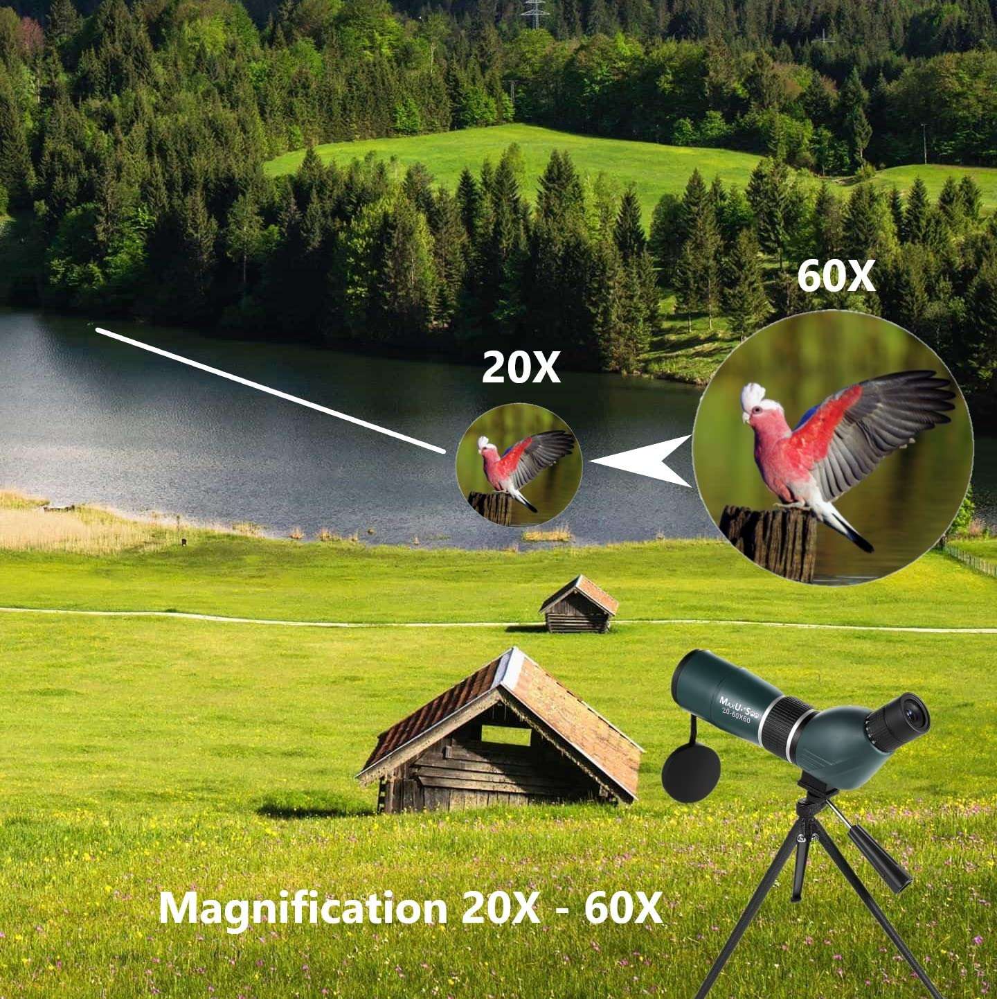 MaxUSee High Definition 20-60x60 Zoom Spotting Scope with Tripod Carry Bag Phone Adapter, BAK4 Prism & FMC Lens Shock-Proof for Bird Watching Wildlife Scenery Moon Viewing 5