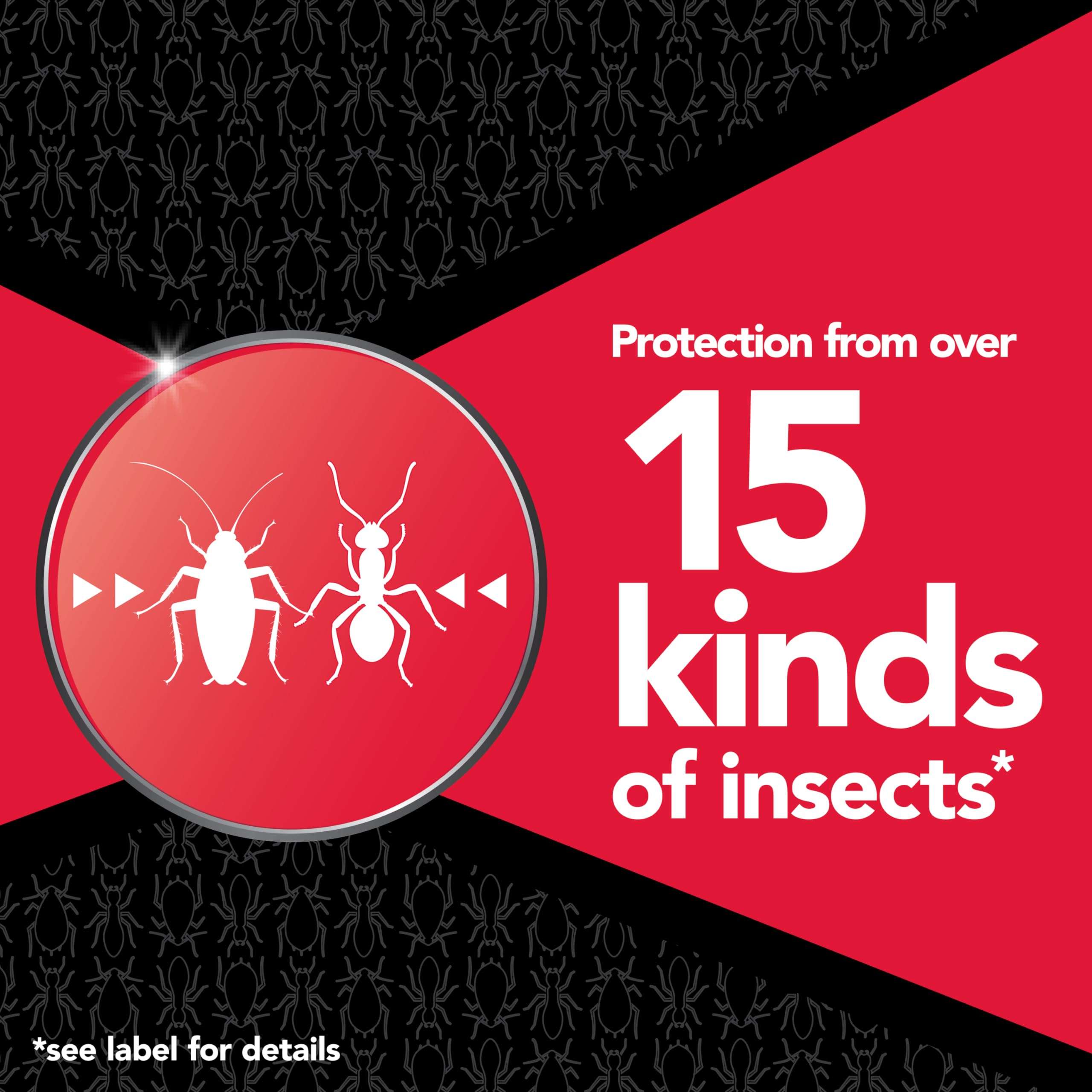 Raid MAX Perimeter Protection, 1 Gallon, Indoor & Outdoor Insecticide Spray with Reusable Electric Sprayer 2