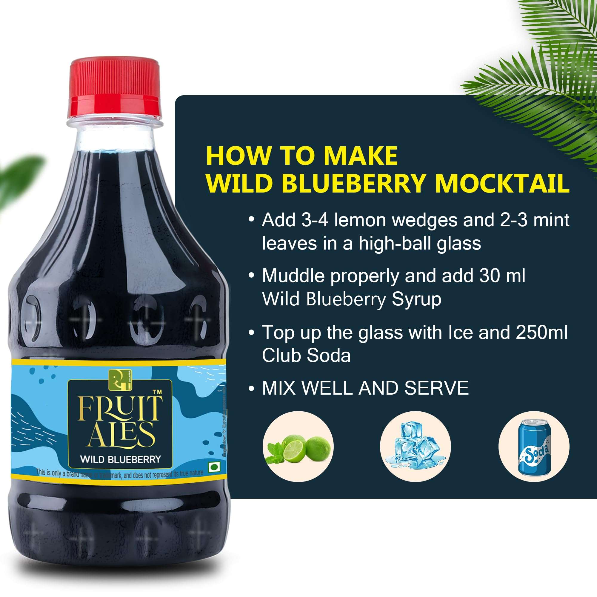 Dhampurgreen Assorted Mocktail Syrups - Blueberry, Kerala Pineapple, Jeera Masala Shikanji, Fruit Beer Flavoured Syrups - 1.2Ltr (4 X 300Ml) | Makes 12-15 Drinks Per Bottle 6