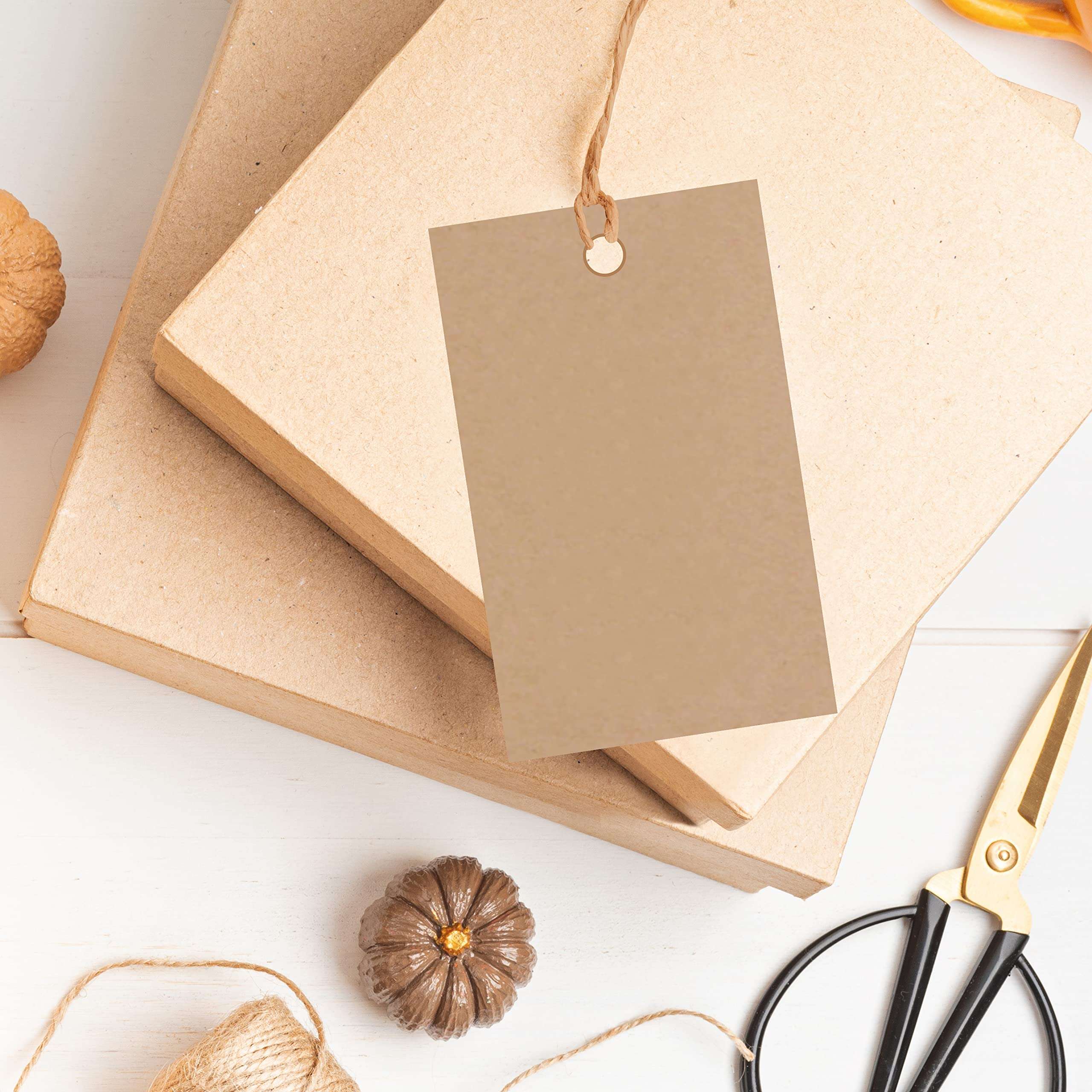 FlyBuy Hub Premium Gift Tags, Double-Sided Available Kraft Paper Price Tags with Jute Twin, Craft Tags Labels Treats Tags for Wedding Christmas Day Thanksgiving (Pack Of 100, Design 12) 5