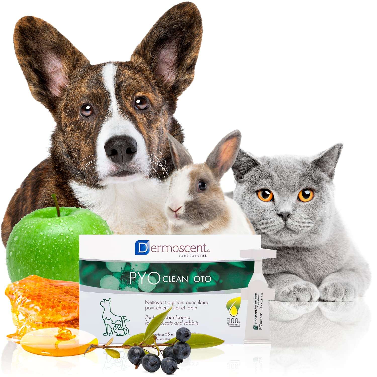 Dermoscent Pyoclean OTO Dog Ear Cleaner - Drops to Stop Head Shaking, Itchy & Waxy Ears - Non-Toxic - Ear Cleaning Solution for Dogs 1