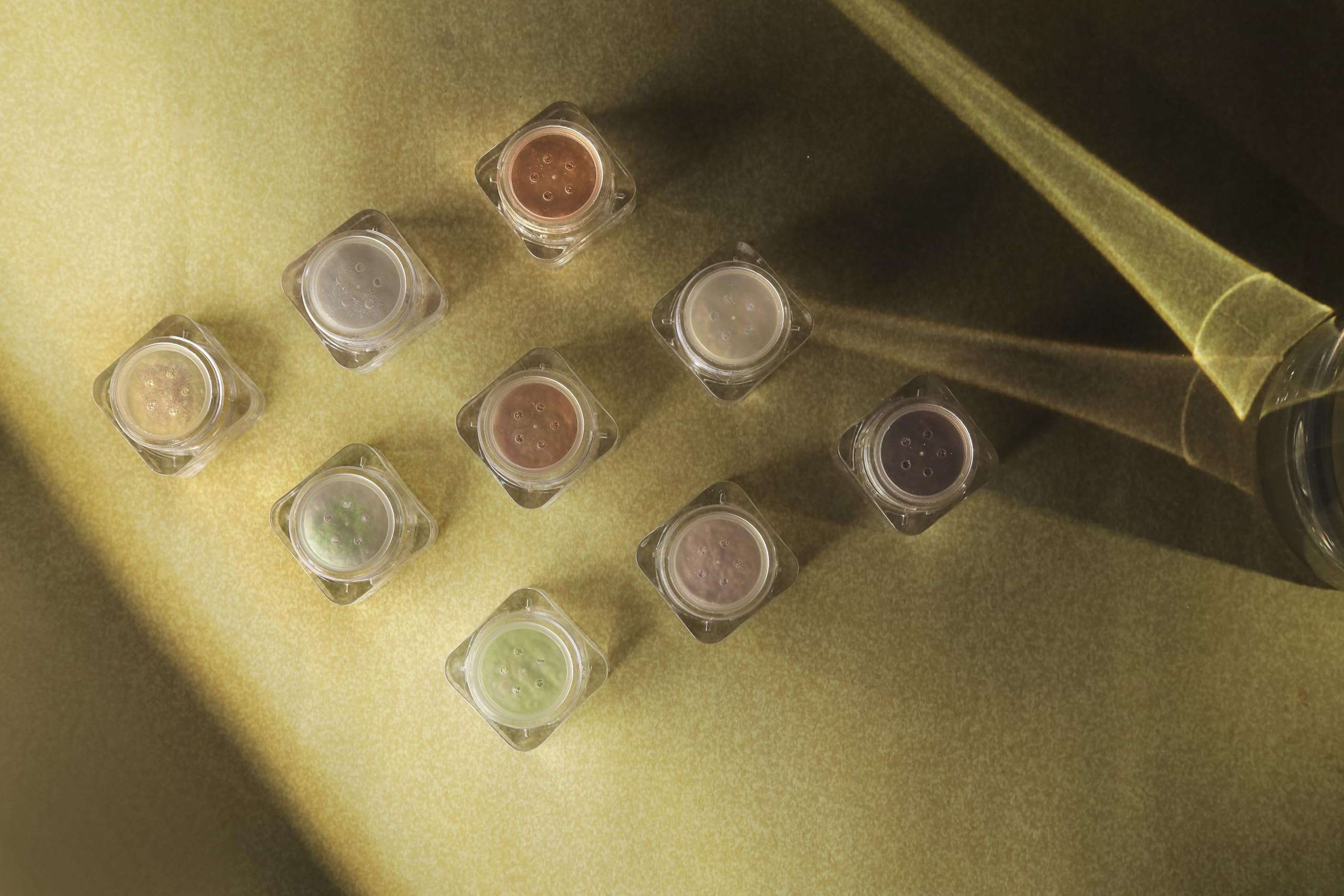 TS Cosmetics Diamond Dust Loose Powder 3.5 (Peachy Glow) – Shimmery Finish Highlighter & Setting Powder for a Radiant, Long-Lasting Glow – Perfect for Women and Girls 6