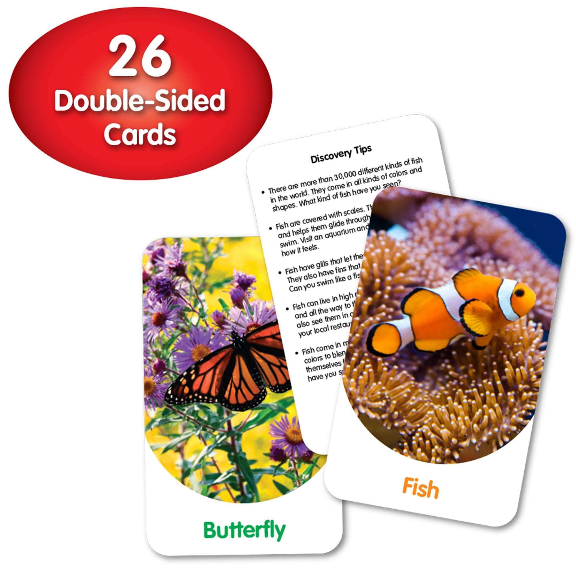 The Learning Journey Discovery Cards - Out & About - Toddler Toys & Gifts for Boys & Girls Ages 2 Years and Up - Mind Building Educational Learning Tool, Multi 2