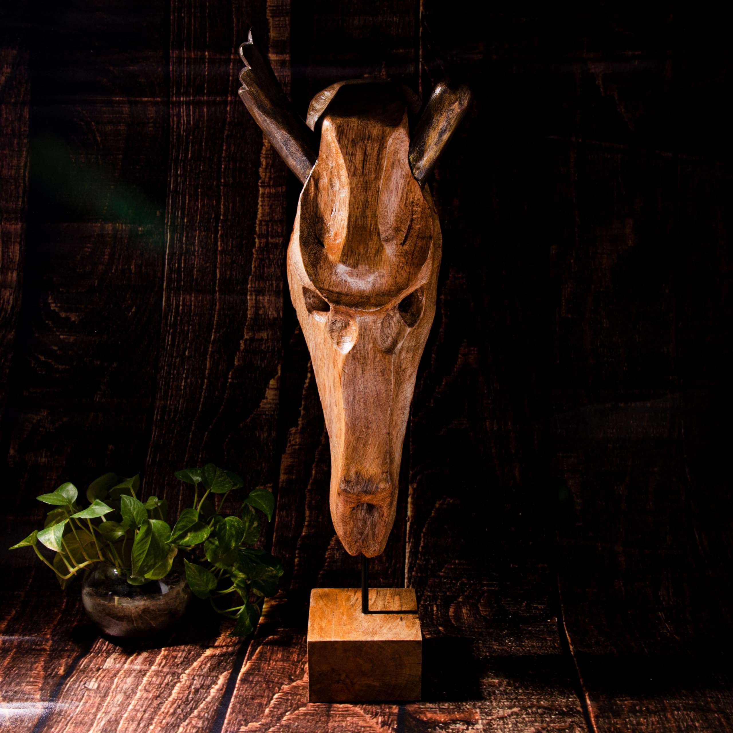 Exotic Wooden Glossy Finish Hand Crafted Wall Mount Table Stand Animal Skull with Horn Accent Home D�cor, 30 cm Sculpture Figurine (Diablo Skull) 1