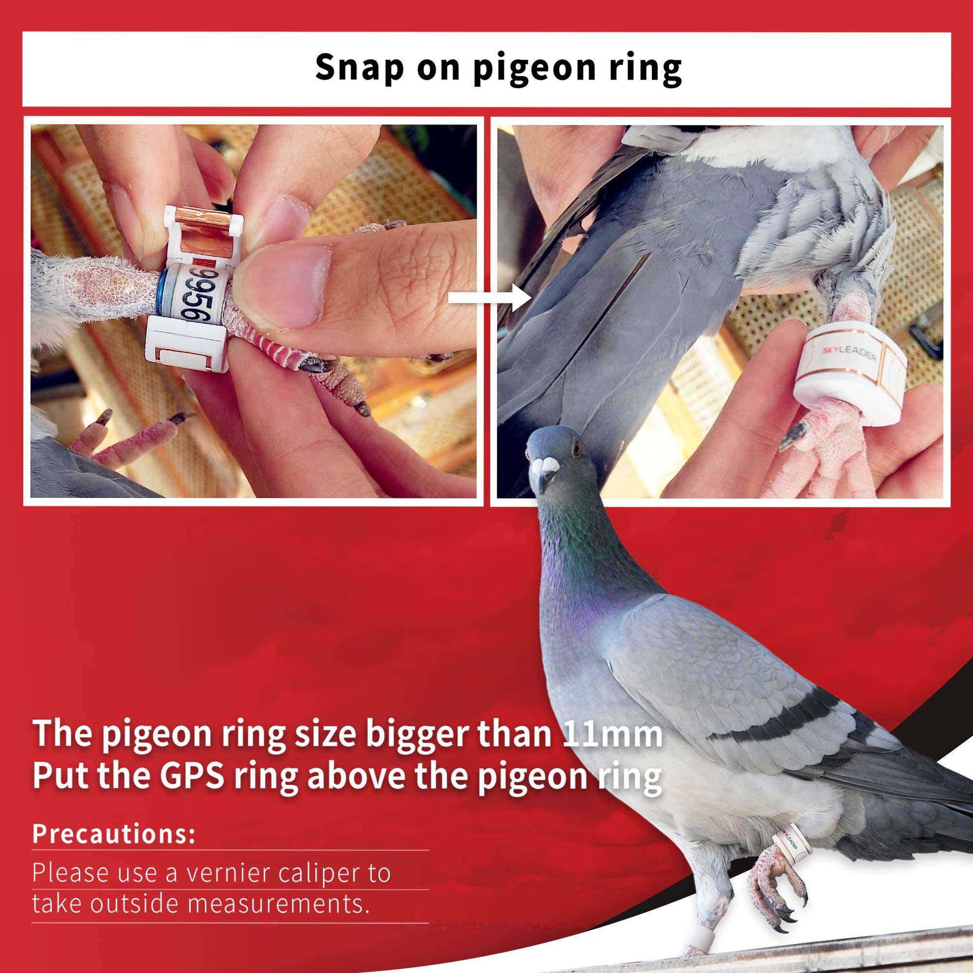 JIXIANGLE SKYLEADER Pigeon Racing GPS Tracker- Great and Accurate Accessories with Google map embeded/ Mutiple Languages, Pigeon Ring Size 11mm 6