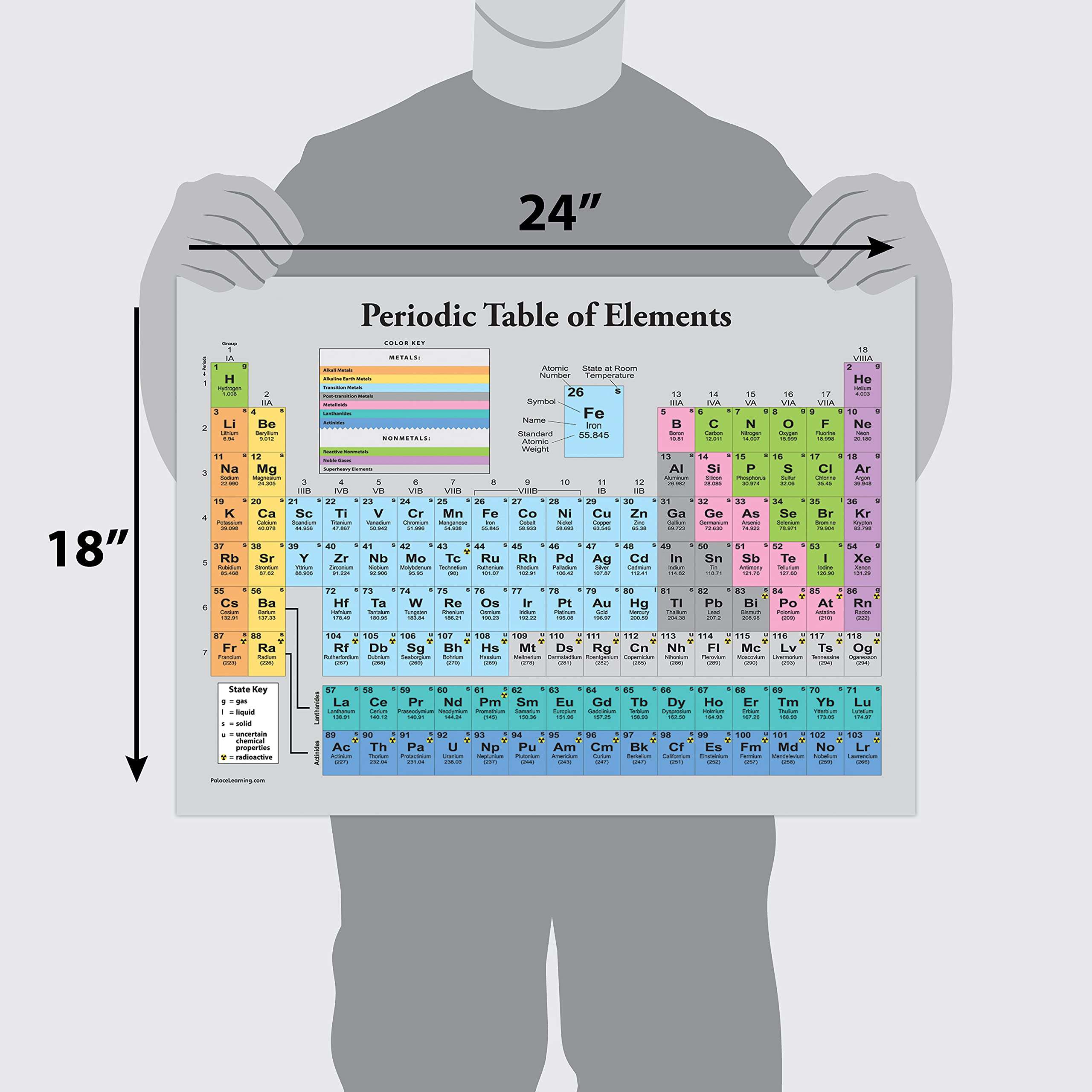 Palace Learning 2 Pack - Periodic Table of the Elements Poster [Grey] + Periodic Table of the Elements Poster for Kids [Illustrated] (LAMINATED, 18" x 24") 2